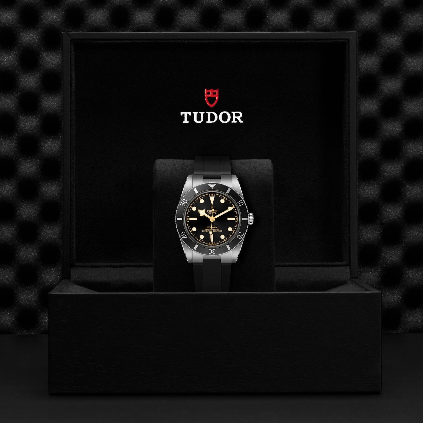 TUDOR BLACK BAY 54 M79000N-0002