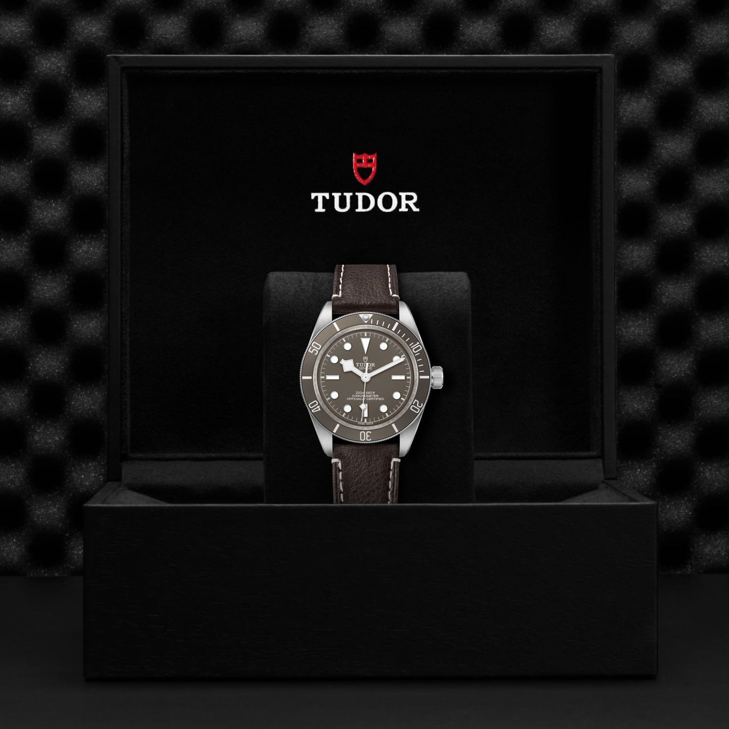 TUDOR BLACK BAY 58 925 M79010SG-0001