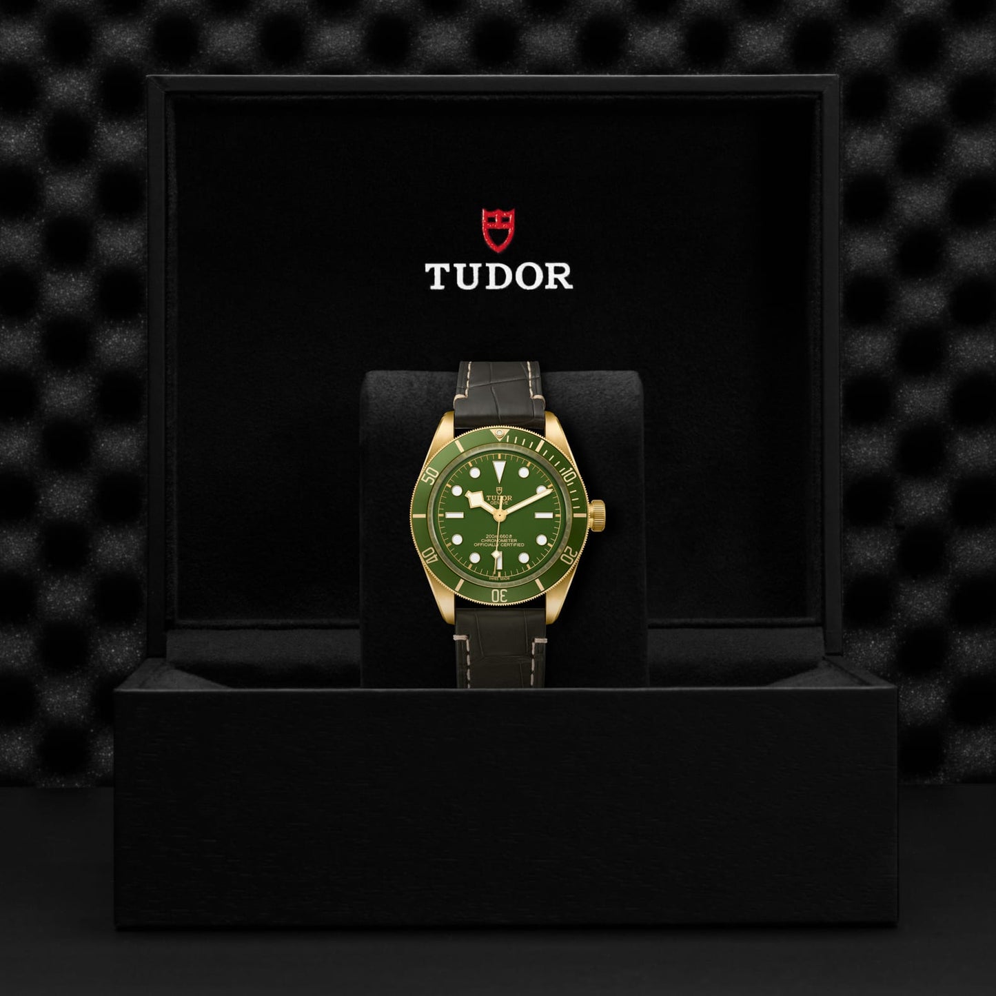 TUDOR BLACK BAY 58 18K M79018V-0001