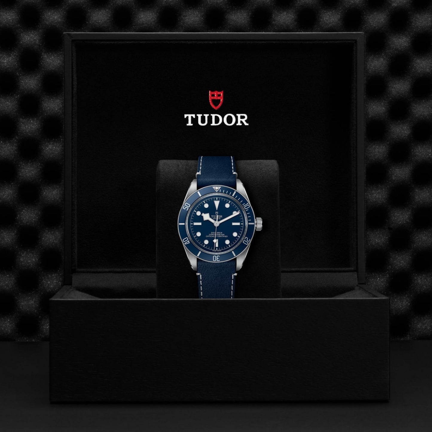 TUDOR BLACK BAY 58 M79030B-0002