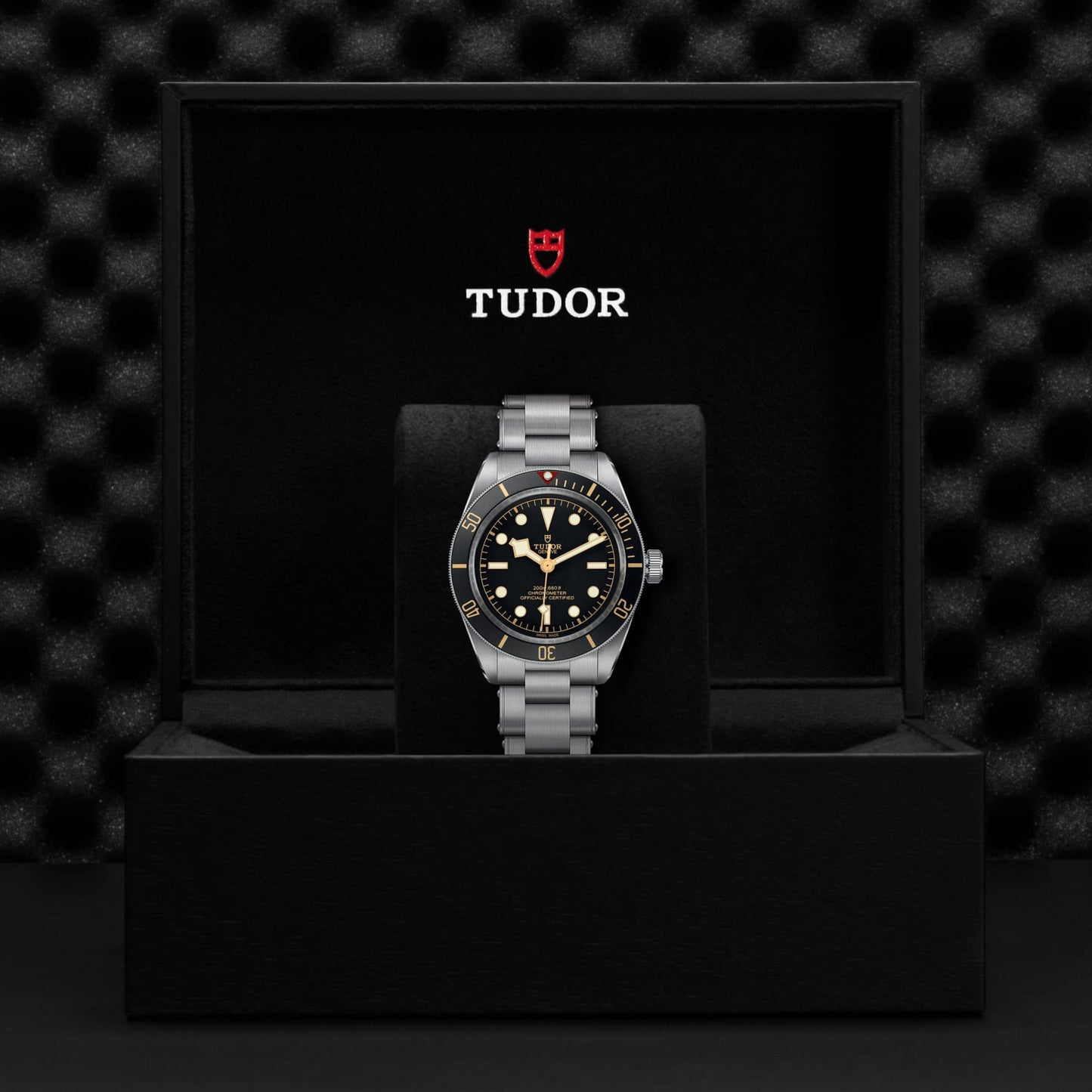 TUDOR BLACK BAY 58 M79030N-0001