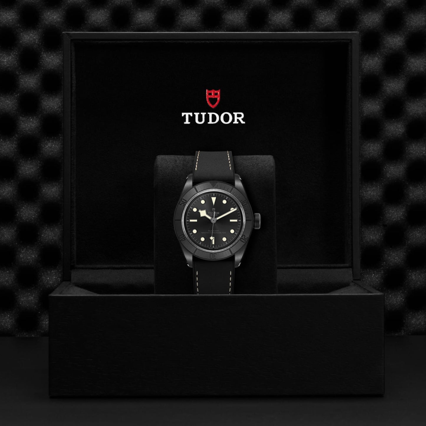 TUDOR BLACK BAY CERAMIC M79210CNU-0001