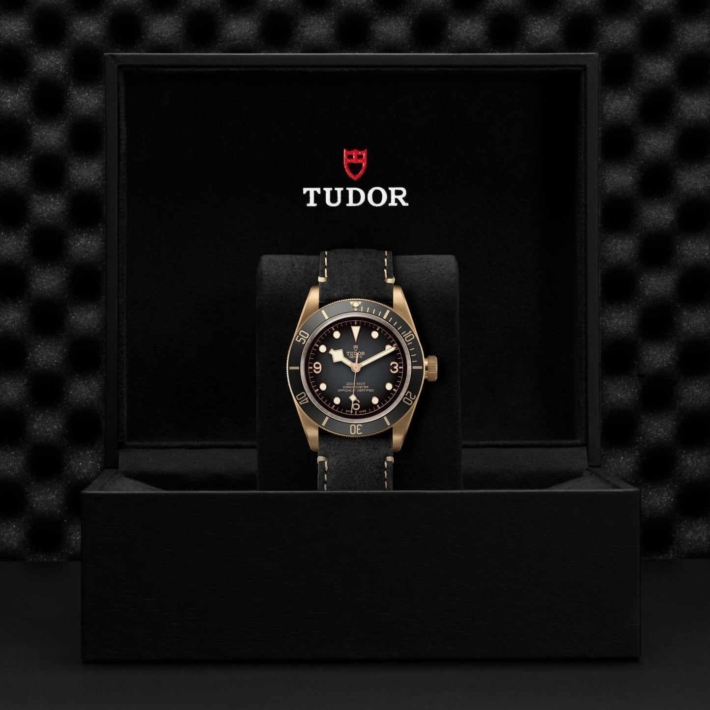 TUDOR BLACK BAY BRONZE M79250BA-0001