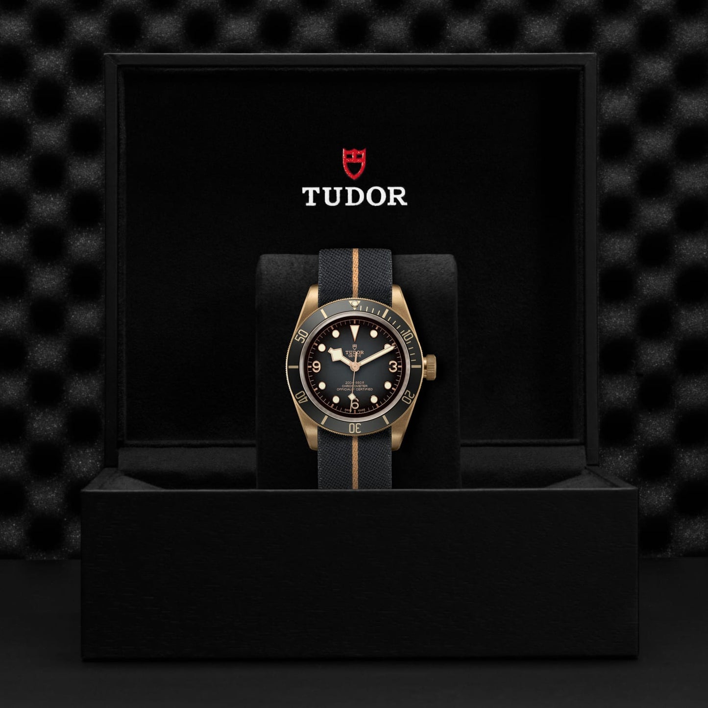 TUDOR BLACK BAY BRONZE M79250BA-0002