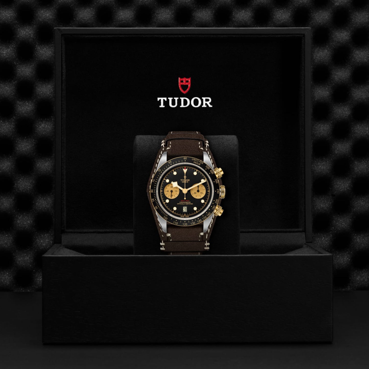 TUDOR BLACK BAY CHRONO S&G M79363N-0002