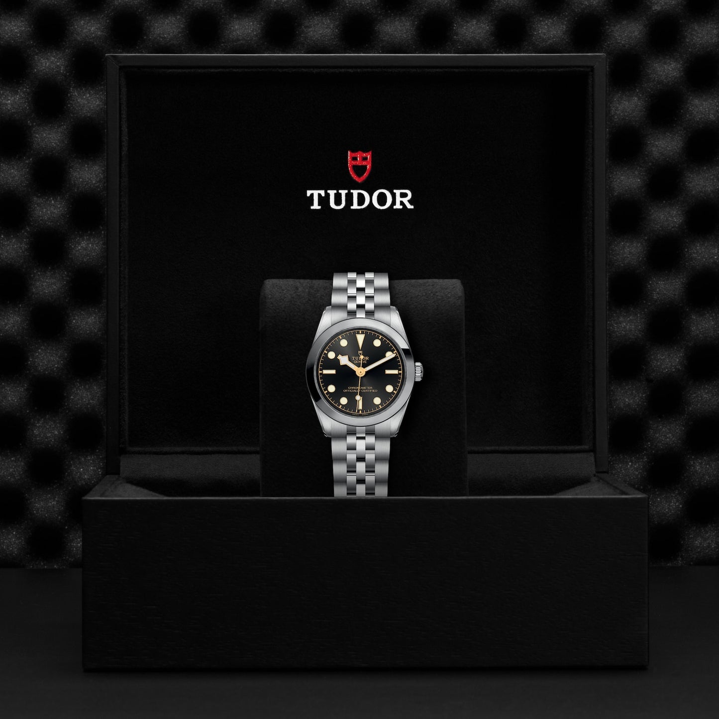 TUDOR BLACK BAY 31 M79600-0001