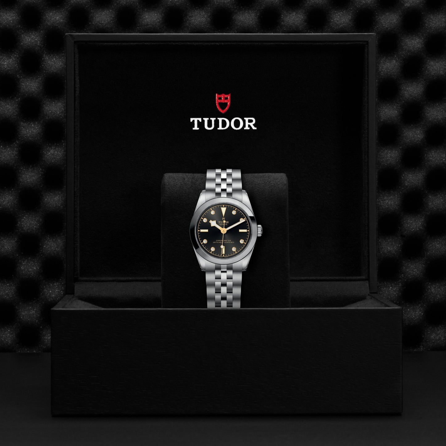 TUDOR BLACK BAY 31 M79600-0004