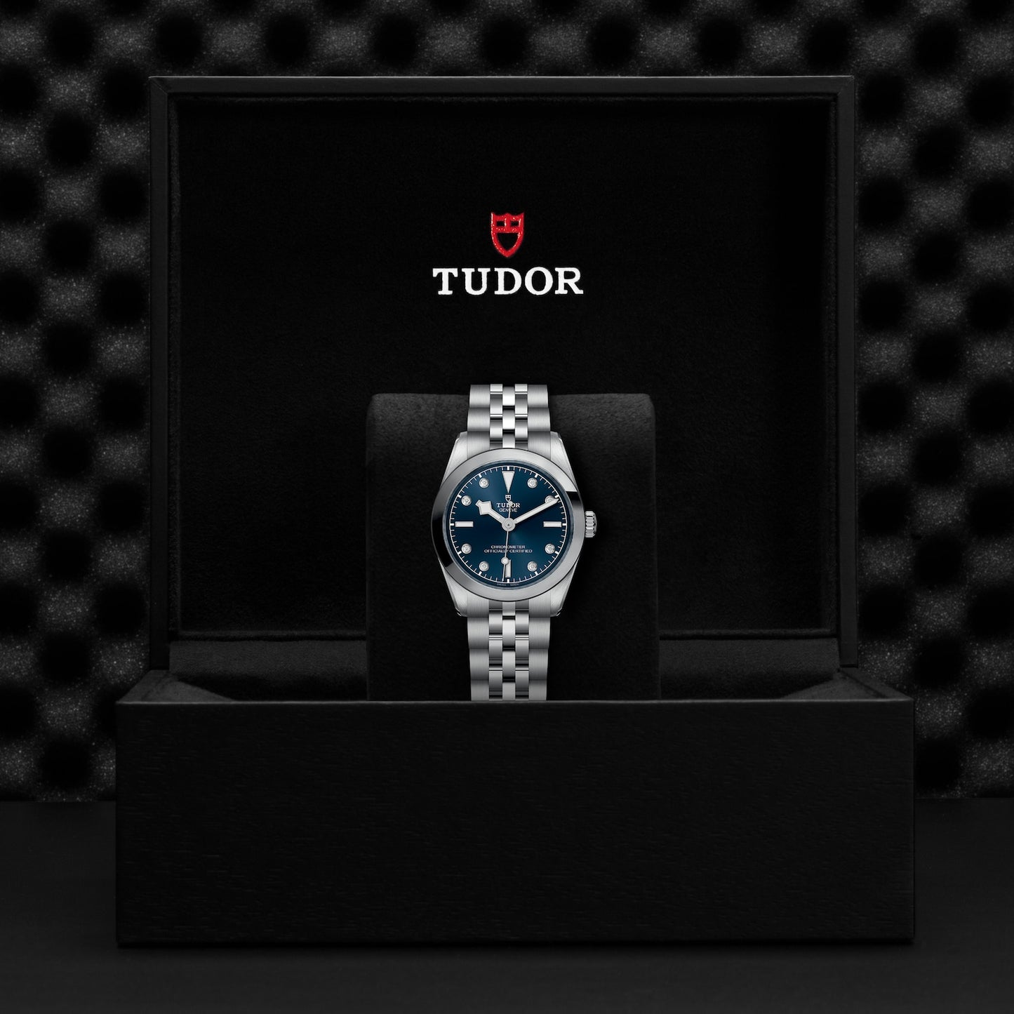 TUDOR BLACK BAY 31 M79600-0005