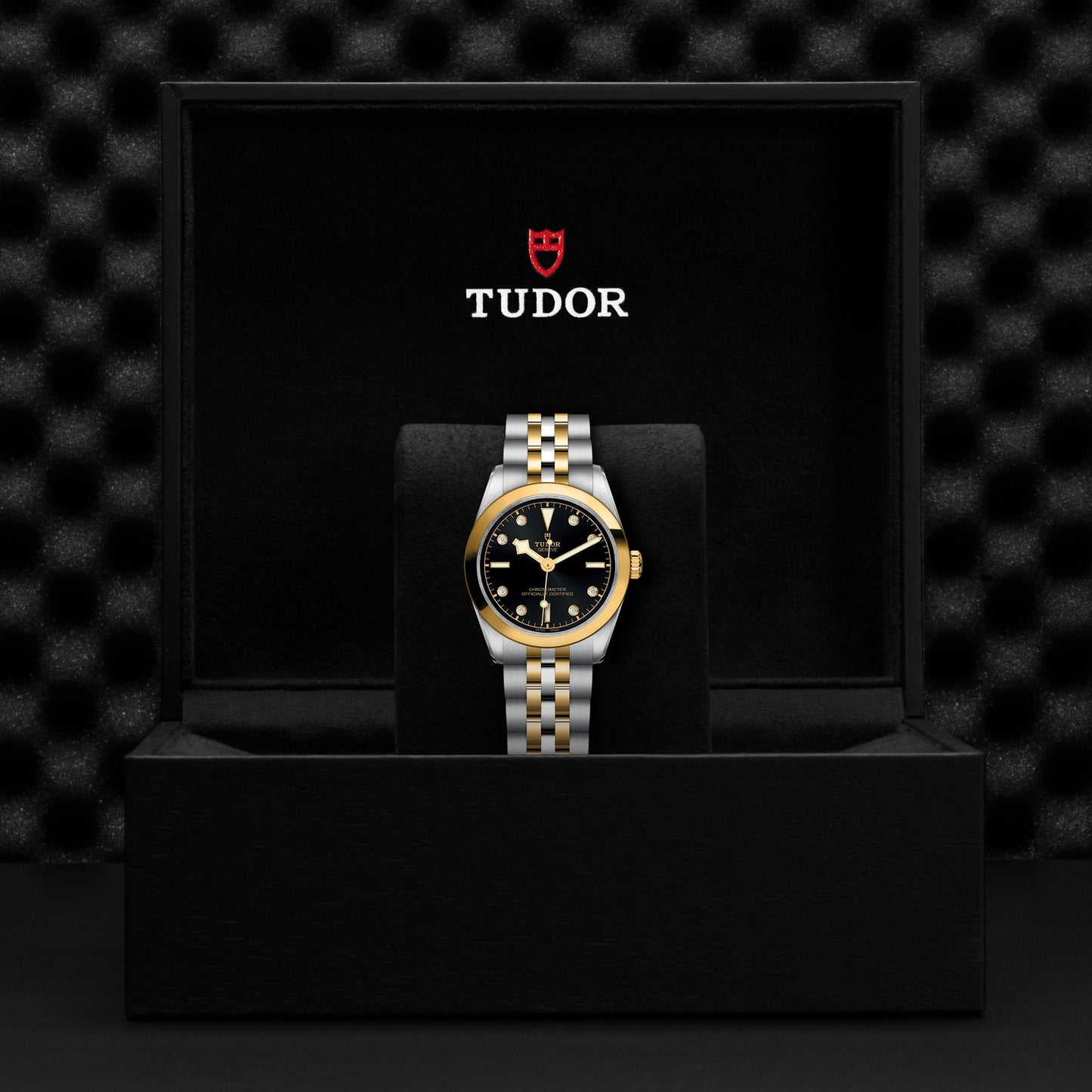 TUDOR BLACK BAY 31 S&G M79603-0006