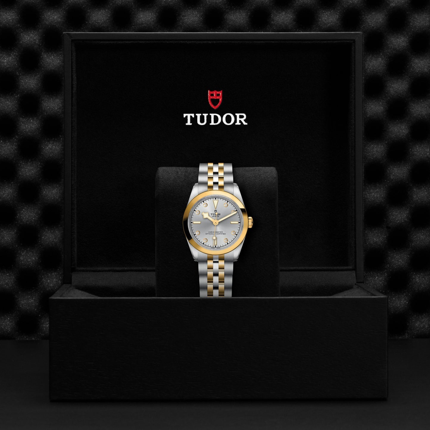 TUDOR BLACK BAY 31 S&G M79603-0007
