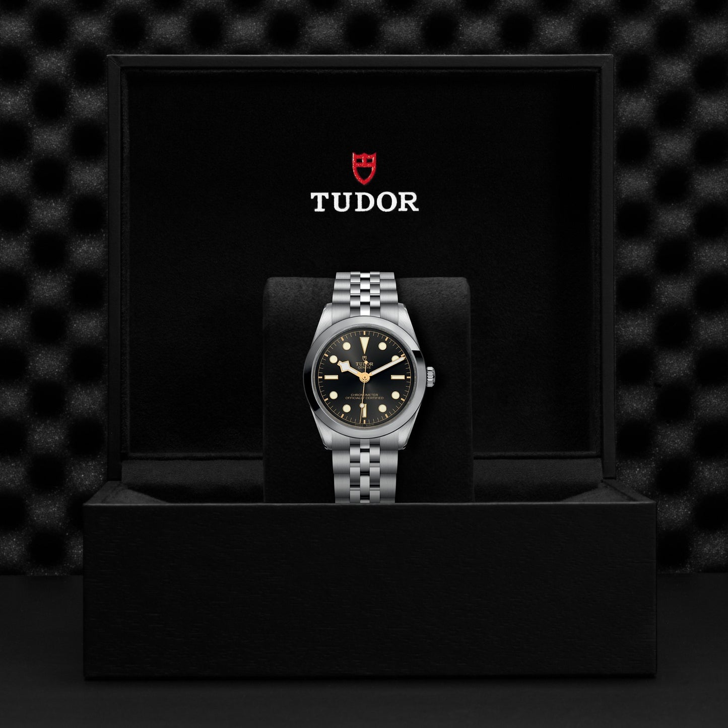 TUDOR BLACK BAY 36 M79640-0001