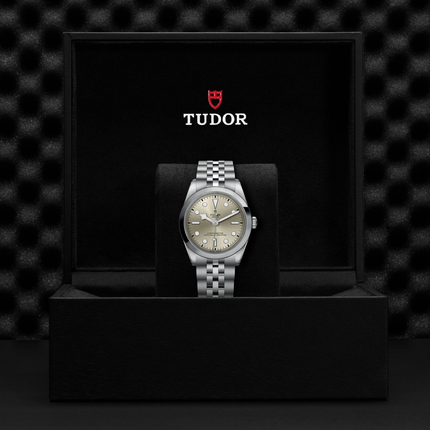 TUDOR BLACK BAY 39 M79660-0003