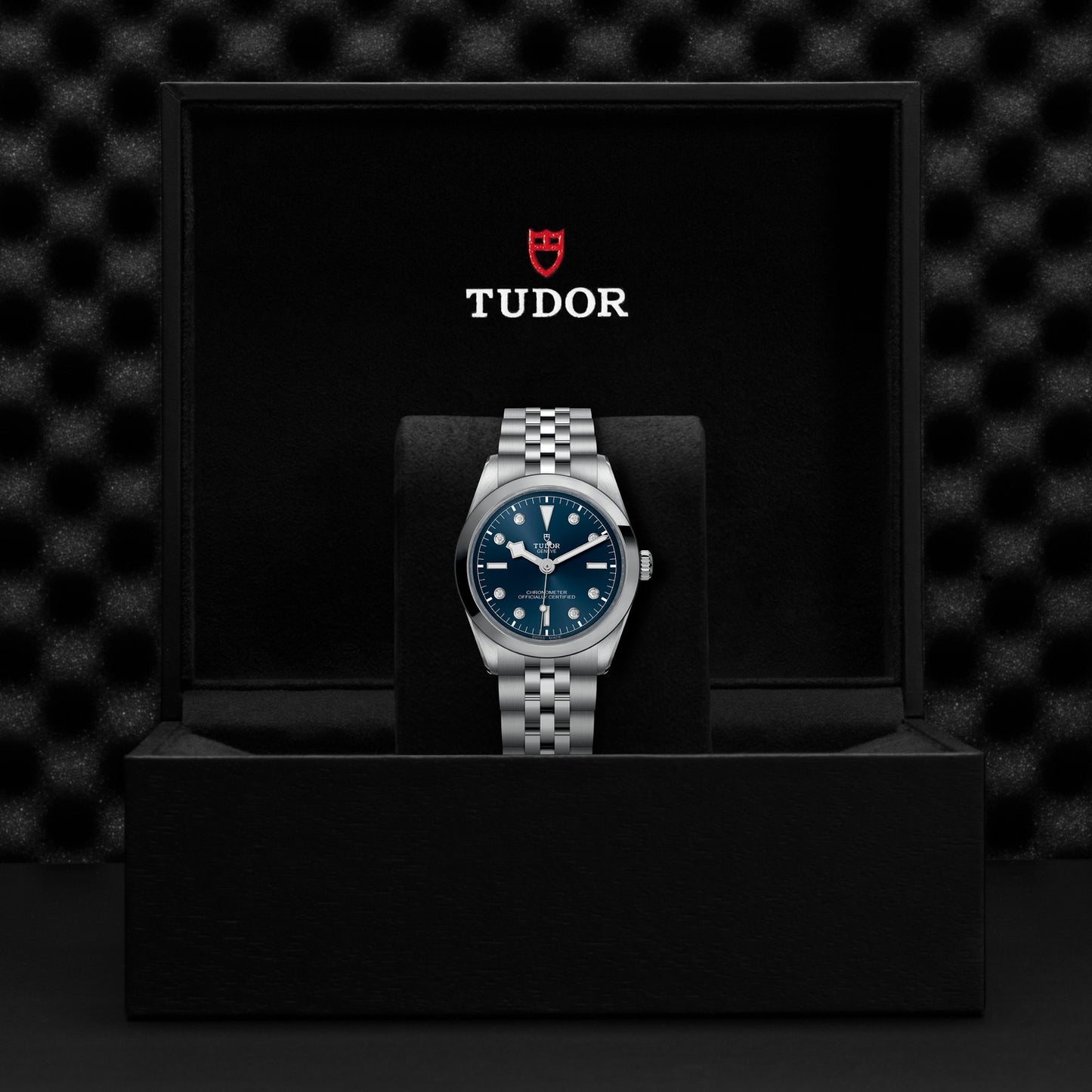 TUDOR BLACK BAY 36 M79640-0005