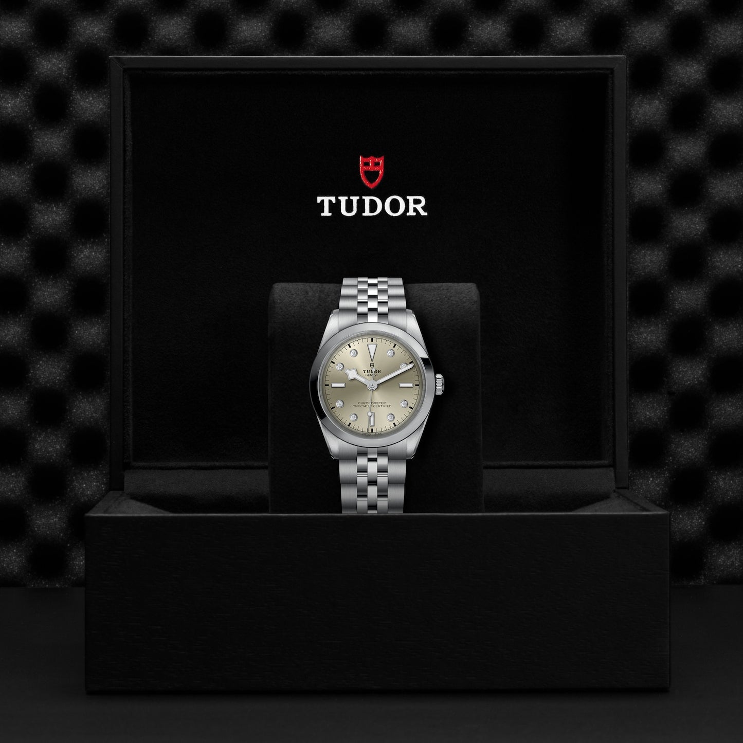 TUDOR BLACK BAY 36 M79640-0006