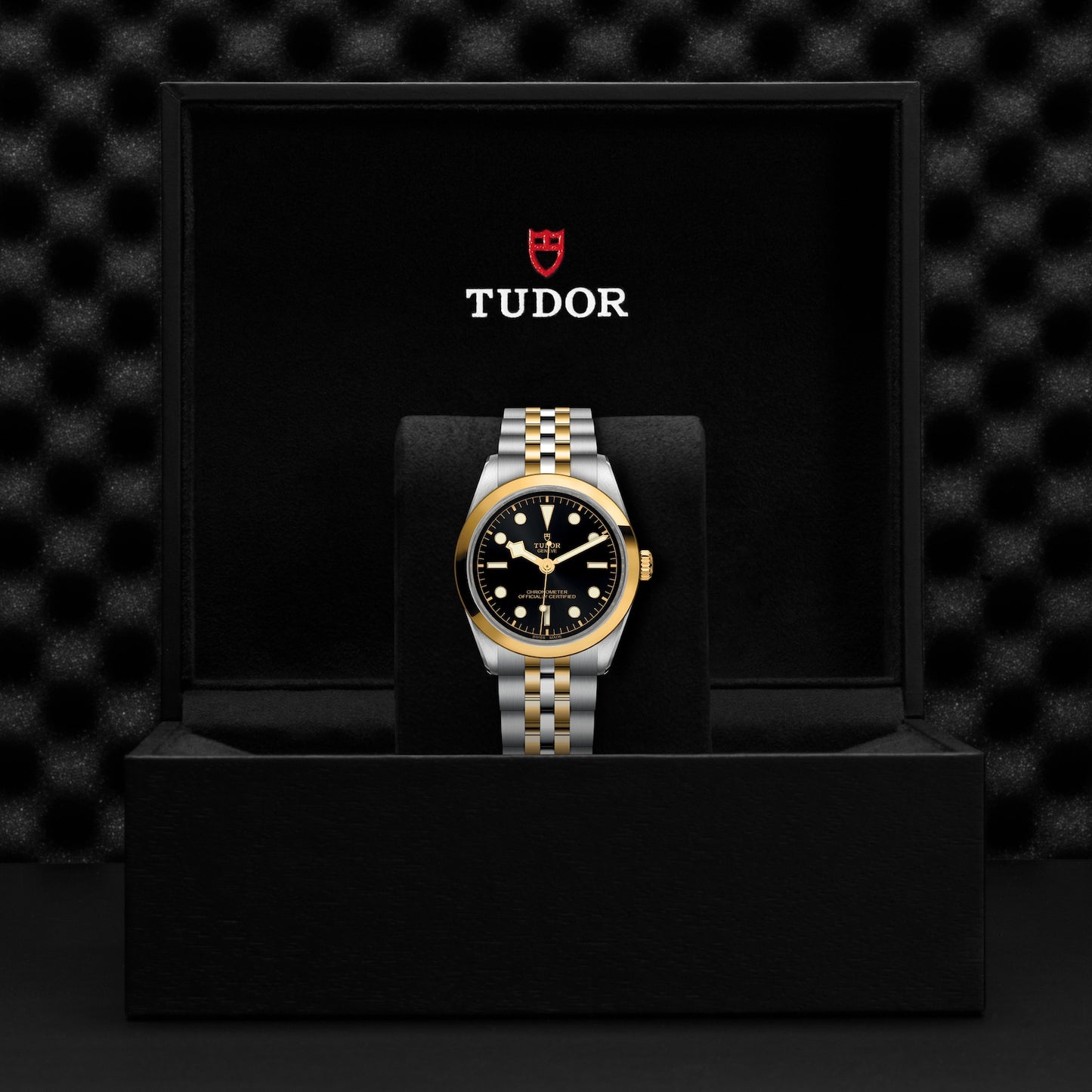 TUDOR BLACK BAY 36 S&G M79643-0001