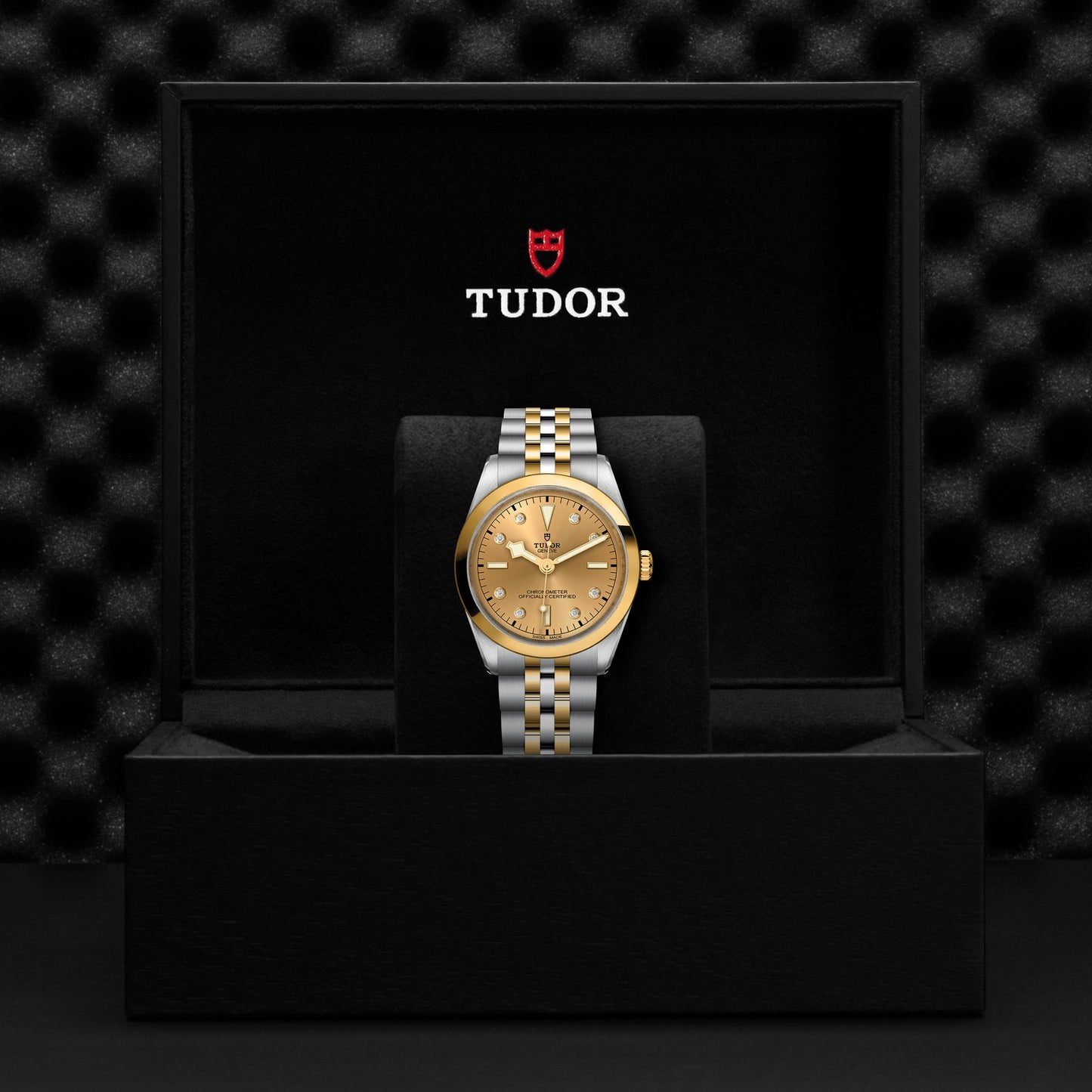TUDOR BLACK BAY 36 S&G M79643-0008
