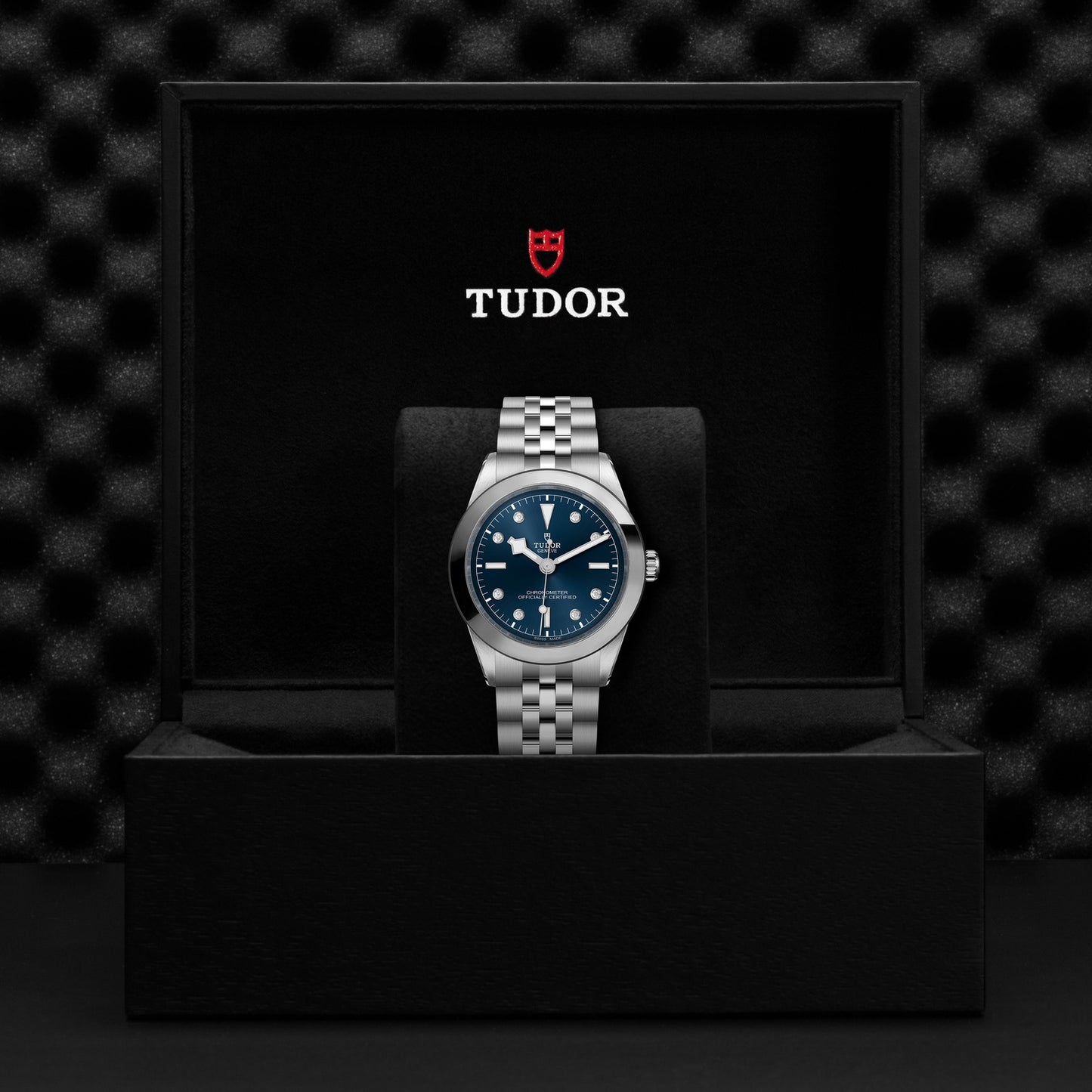 TUDOR BLACK BAY 39 M79660-0005