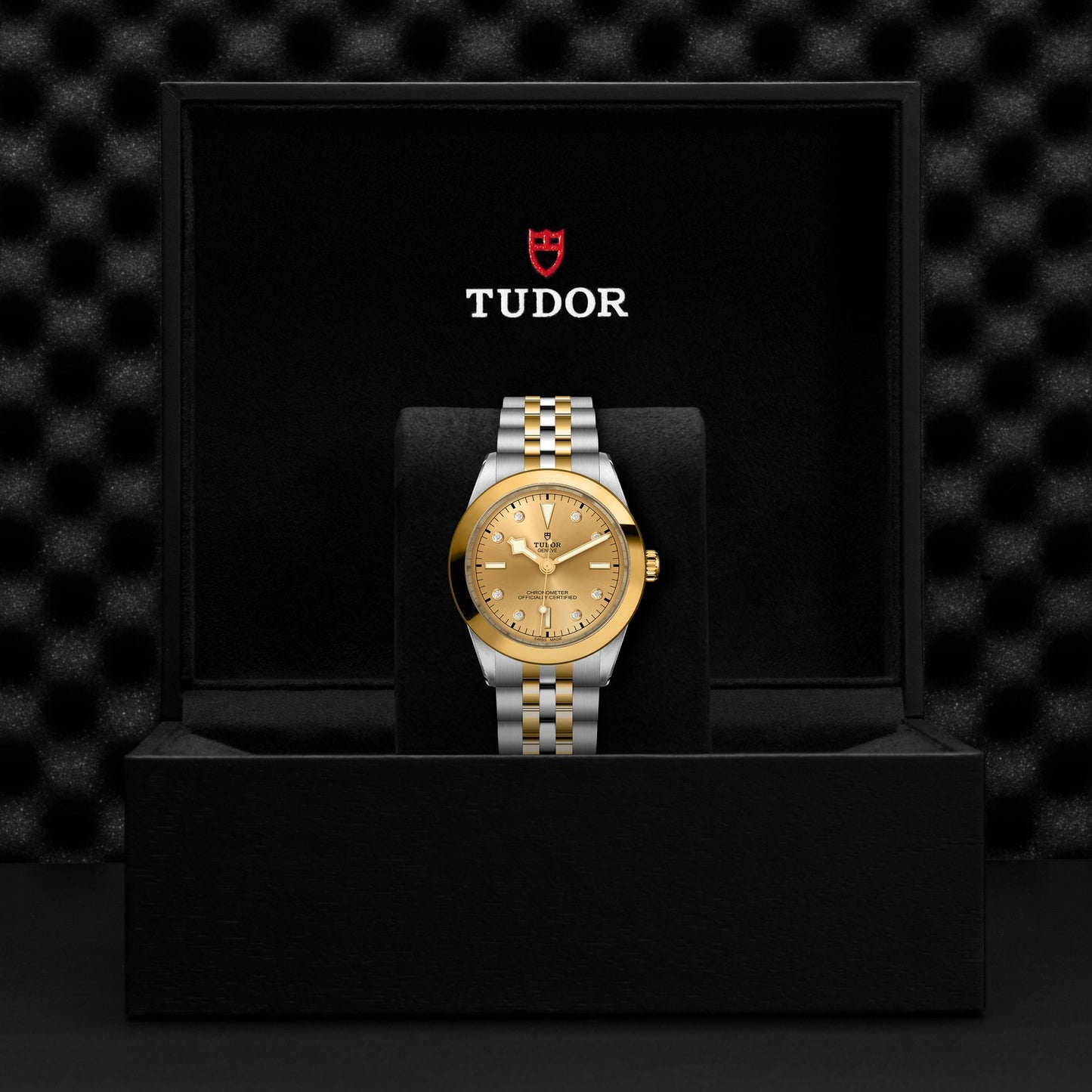 TUDOR BLACK BAY 39 S&G M79663-0008