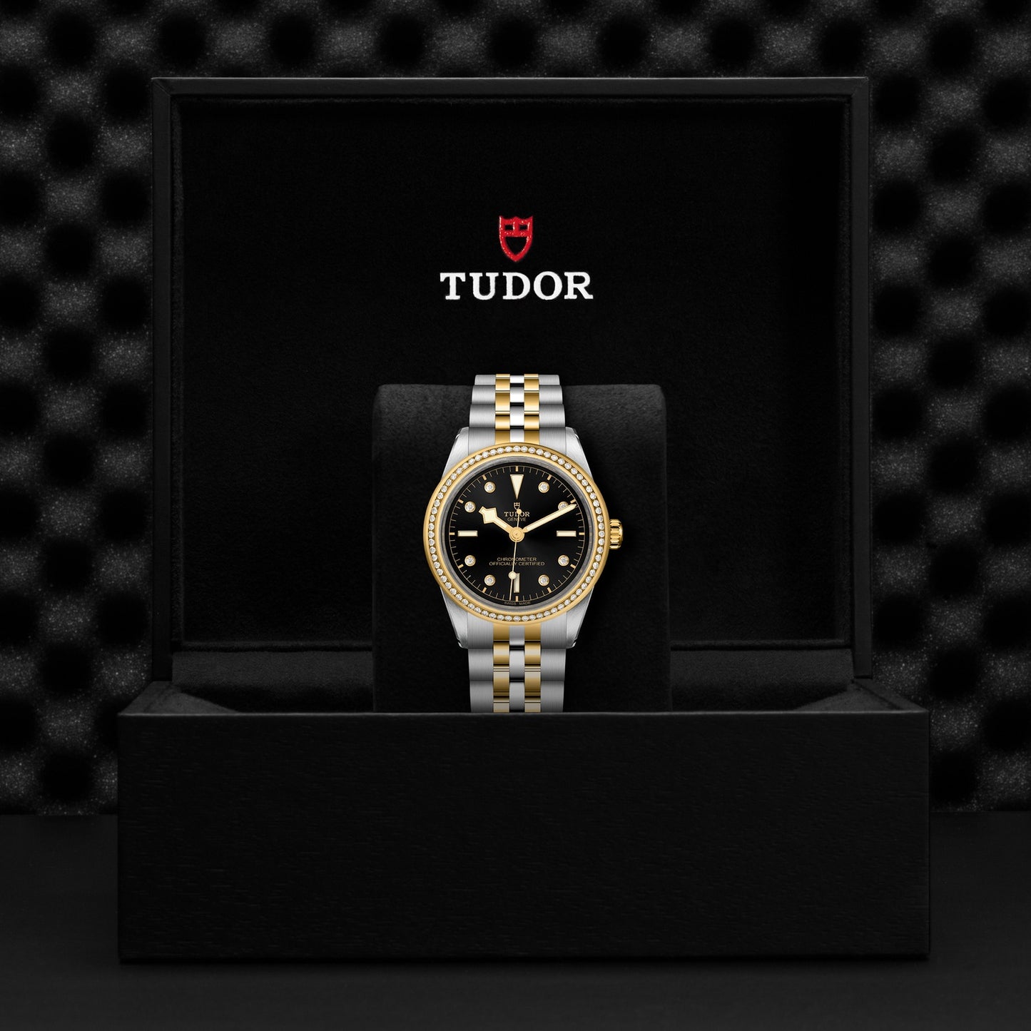 TUDOR BLACK BAY 39 S&G M79673-0005