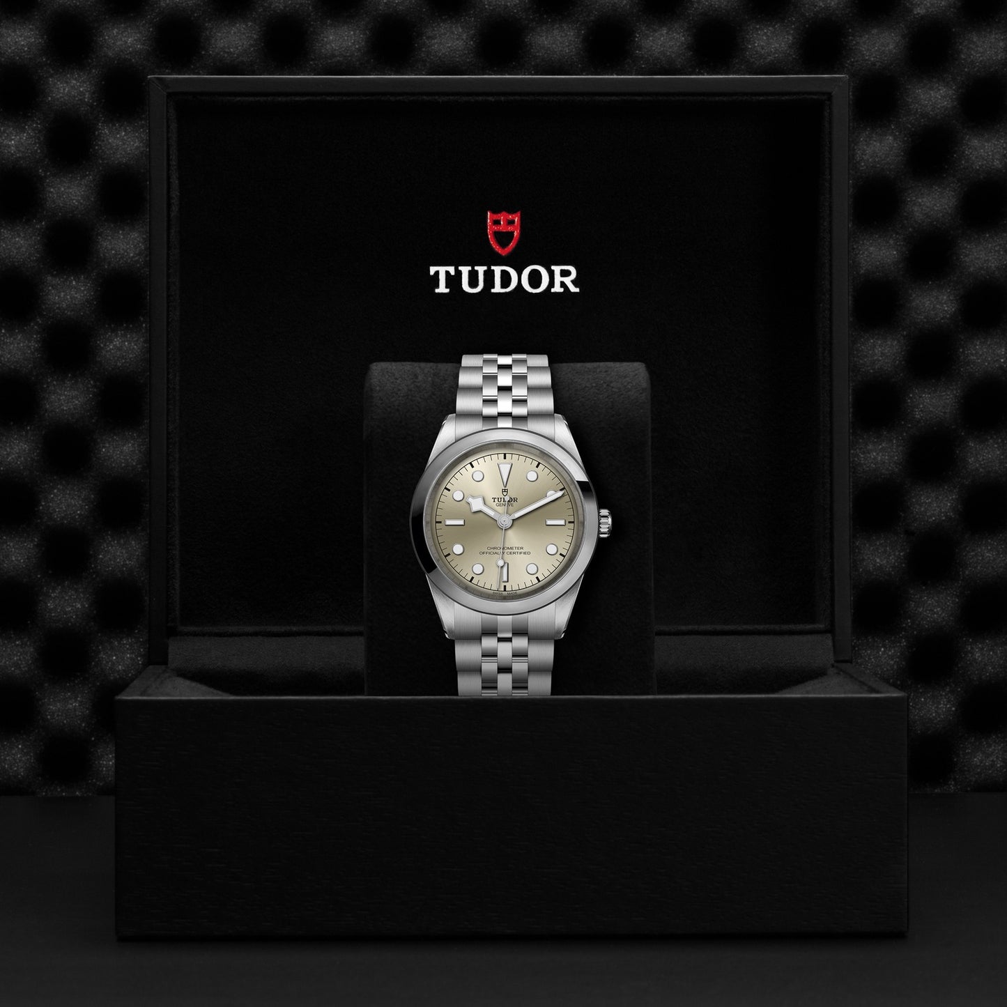TUDOR BLACK BAY 41 M79680-0003