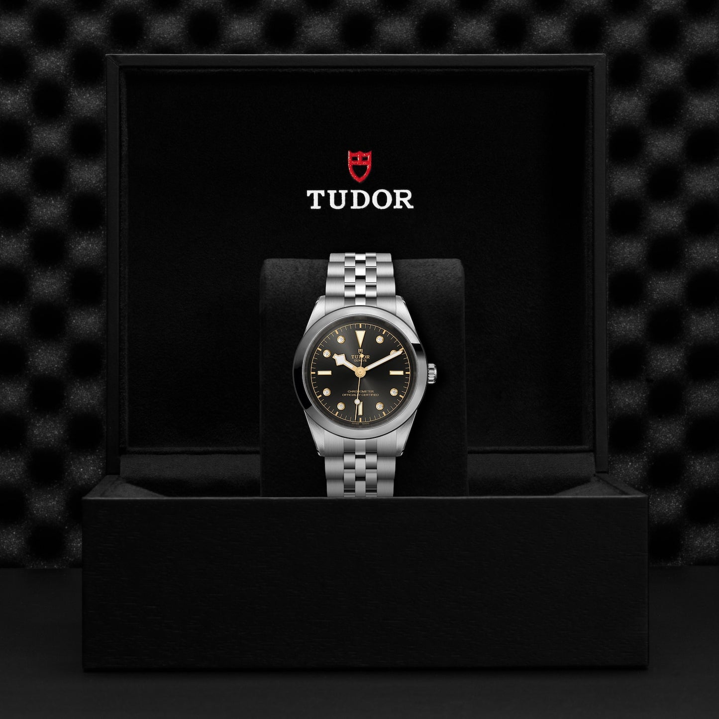 TUDOR BLACK BAY 41 M79680-0004