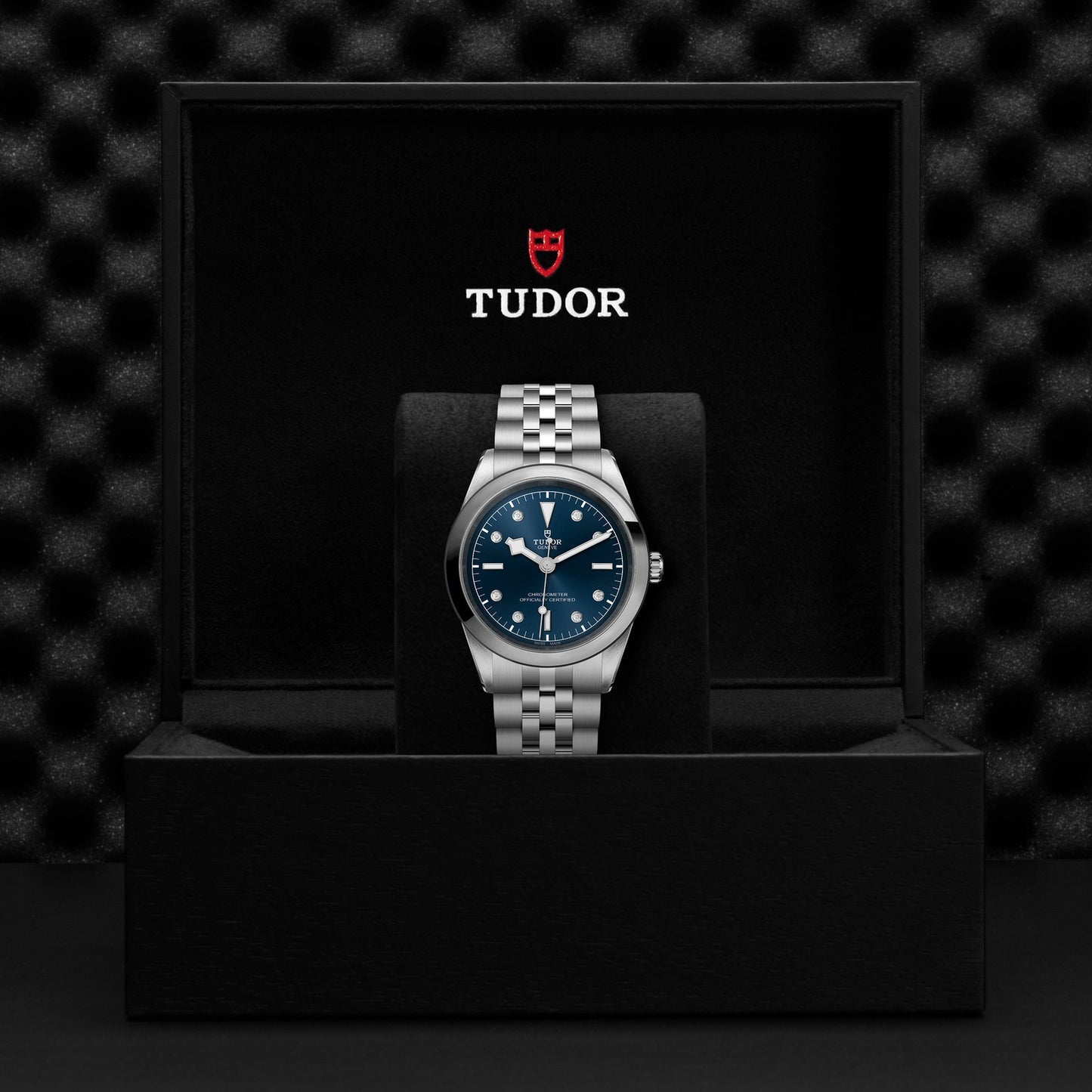 TUDOR BLACK BAY 41 M79680-0005