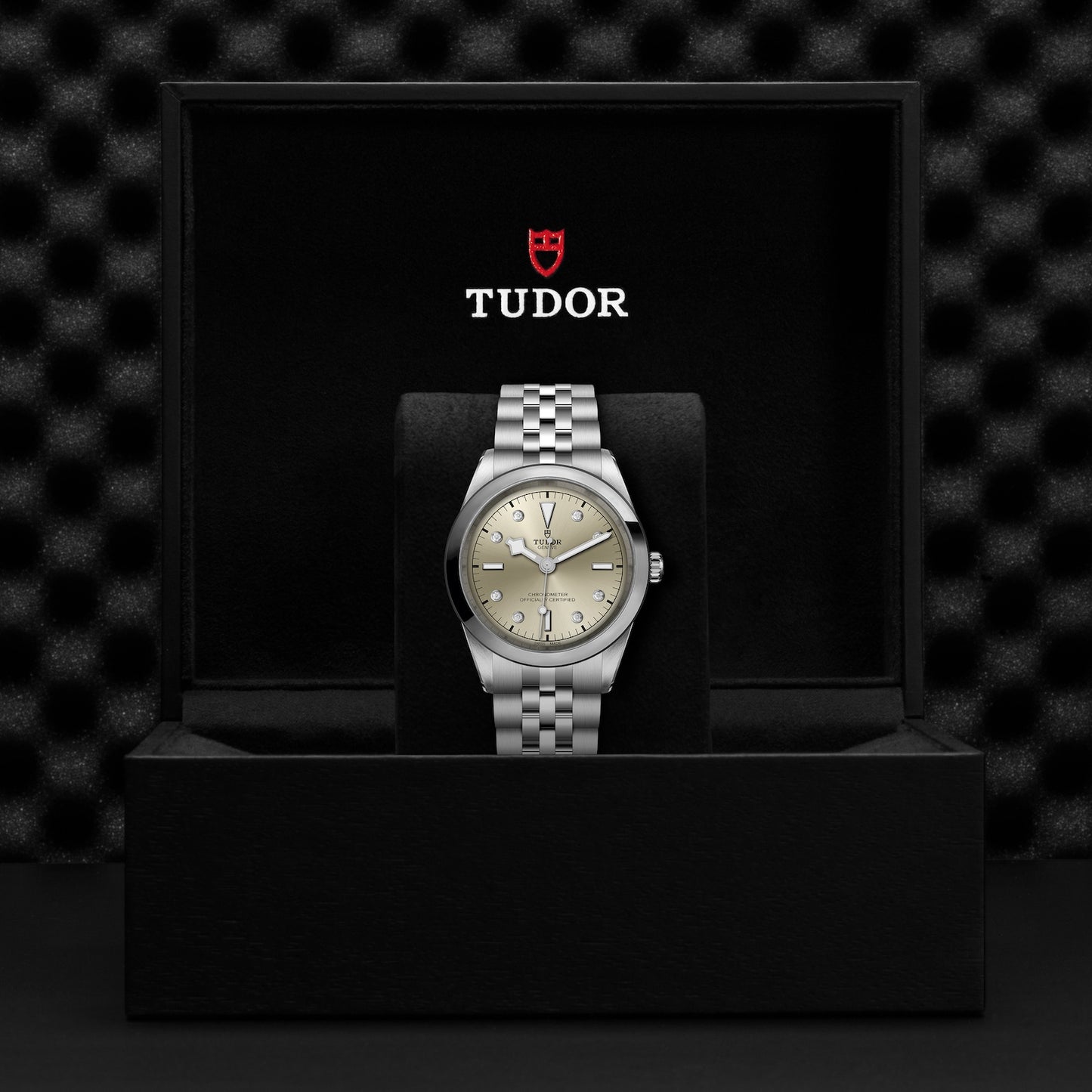 TUDOR BLACK BAY 41 M79680-0006