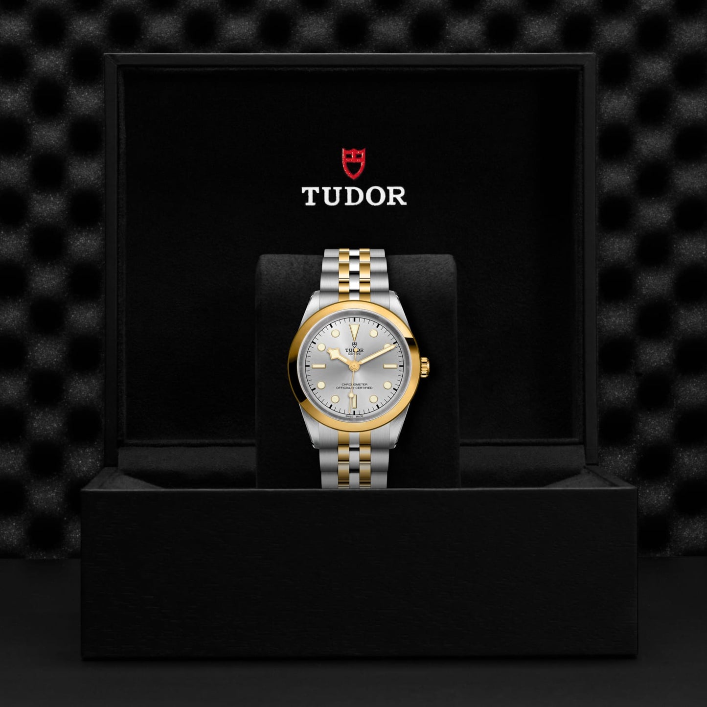 TUDOR BLACK BAY 41 S&G M79683-0002