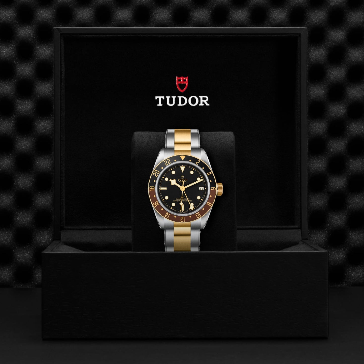 TUDOR BLACK BAY GMT S&G M79833MN-0001
