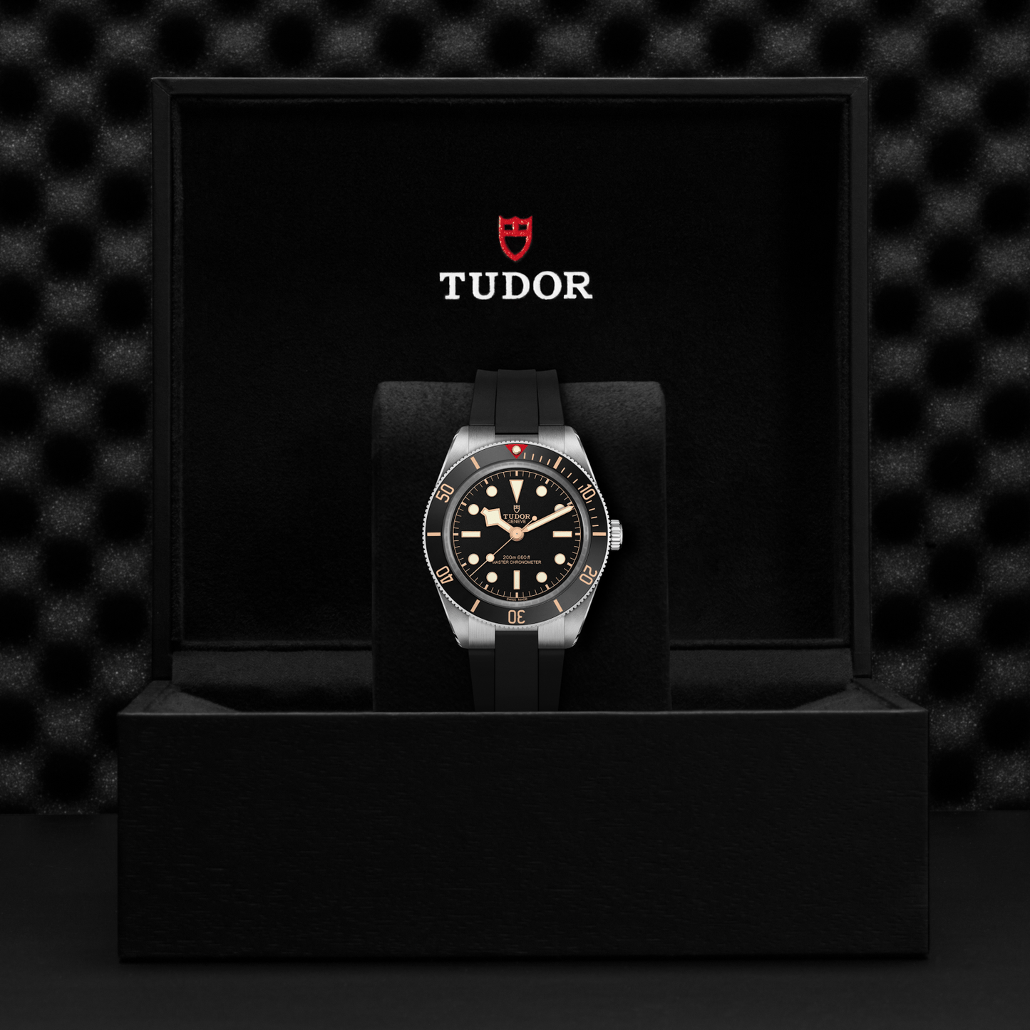 TUDOR BLACK BAY 58 M7939A1A0NU-0003