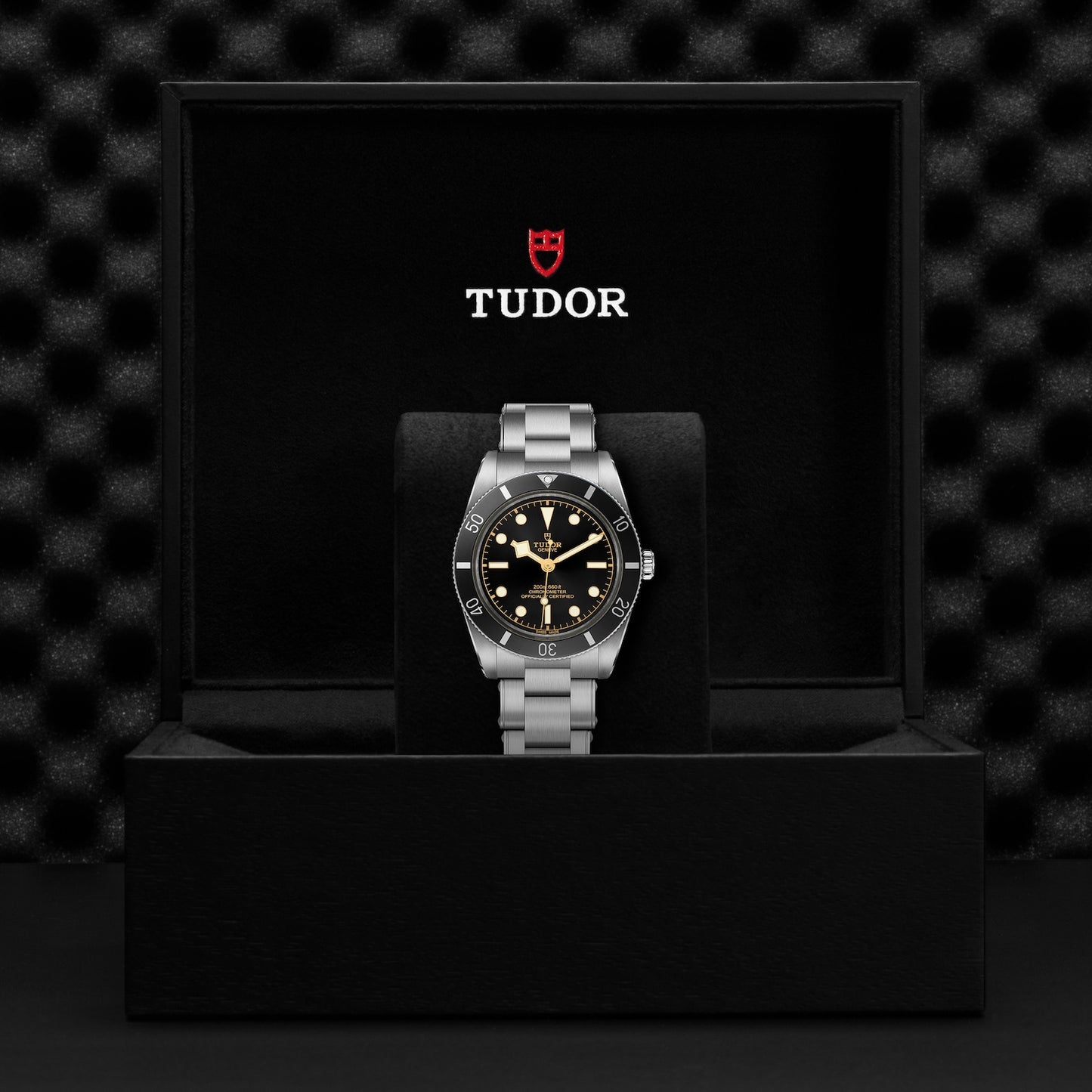 TUDOR BLACK BAY 54 M79000N-0001