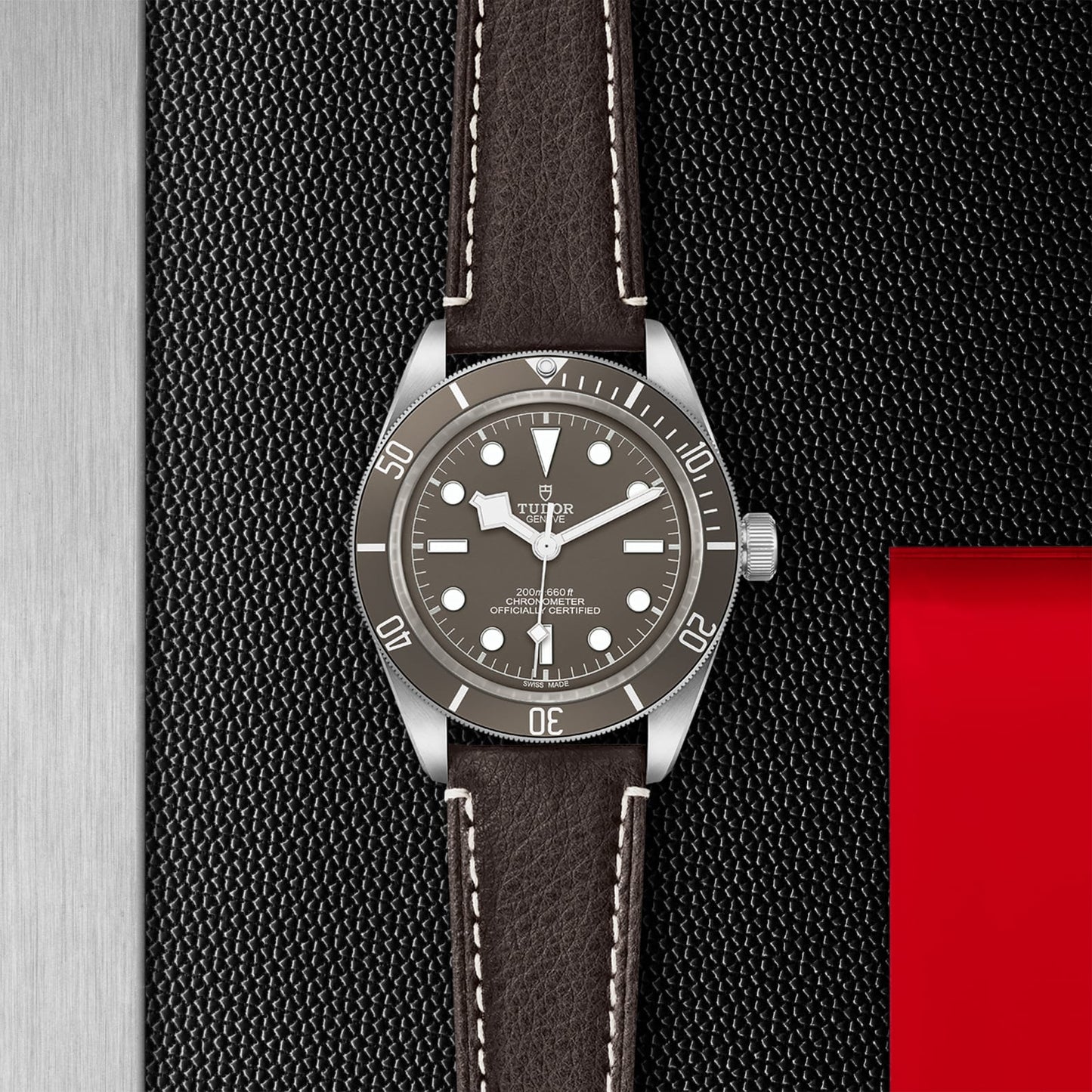 TUDOR BLACK BAY 58 925 M79010SG-0001