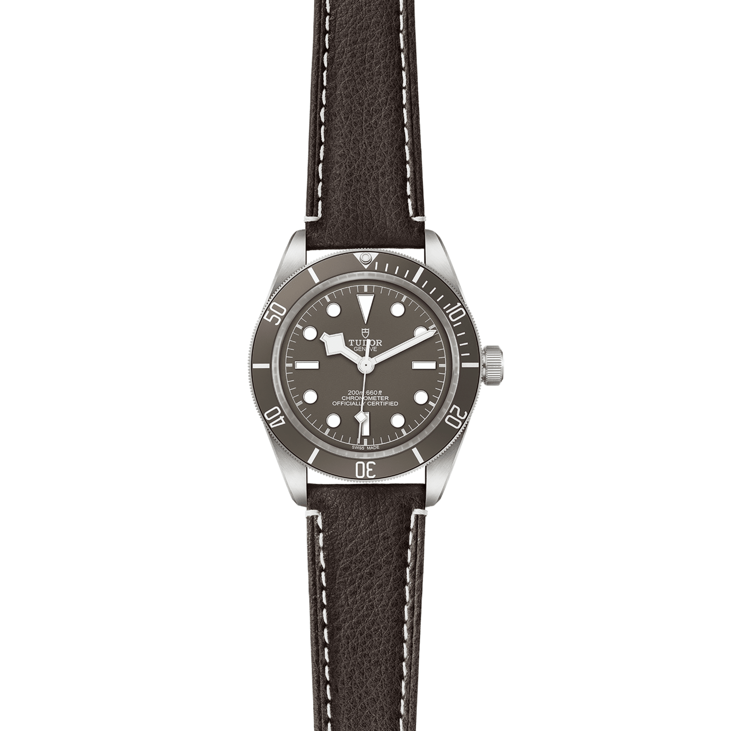 TUDOR BLACK BAY 58 925 M79010SG-0001