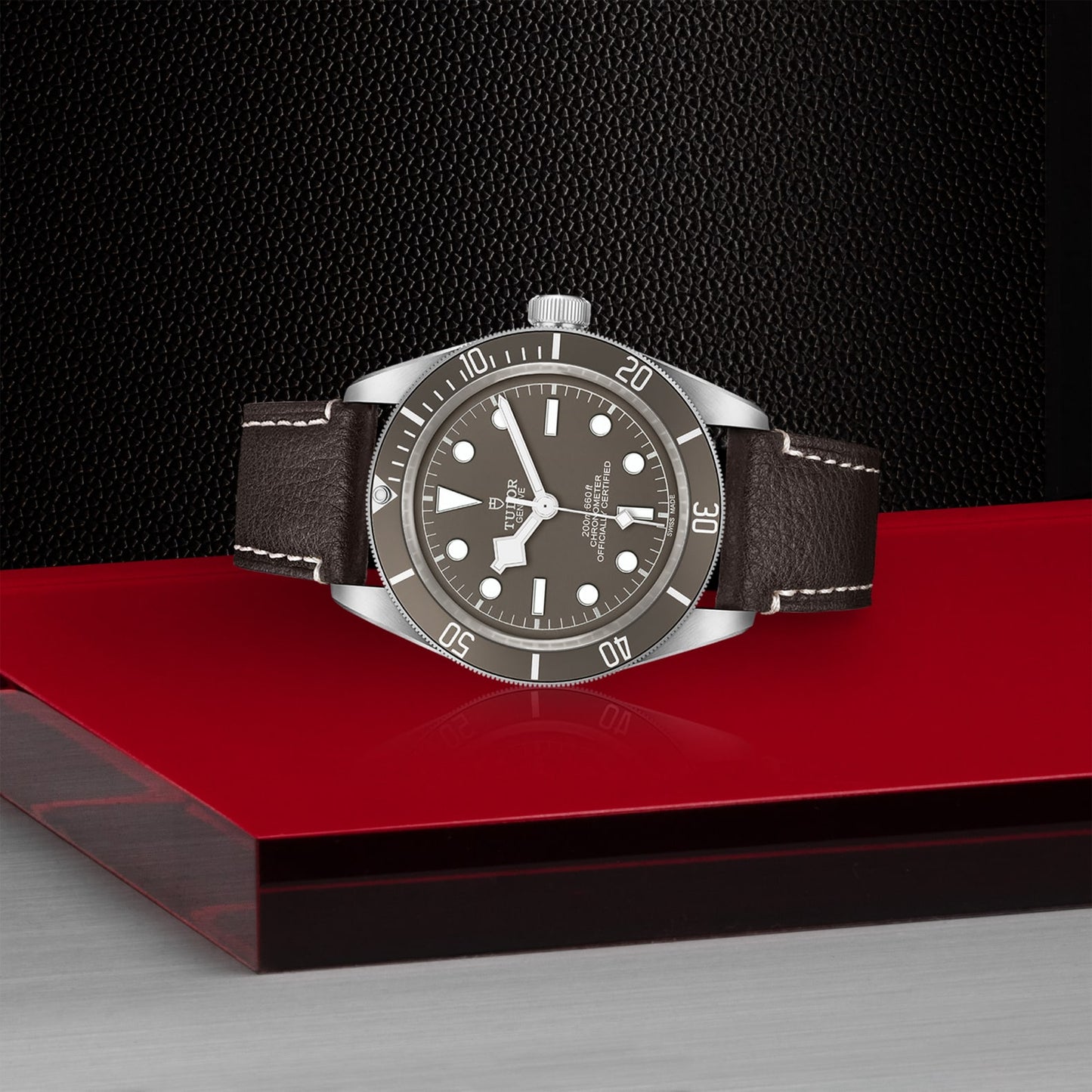 TUDOR BLACK BAY 58 925 M79010SG-0001