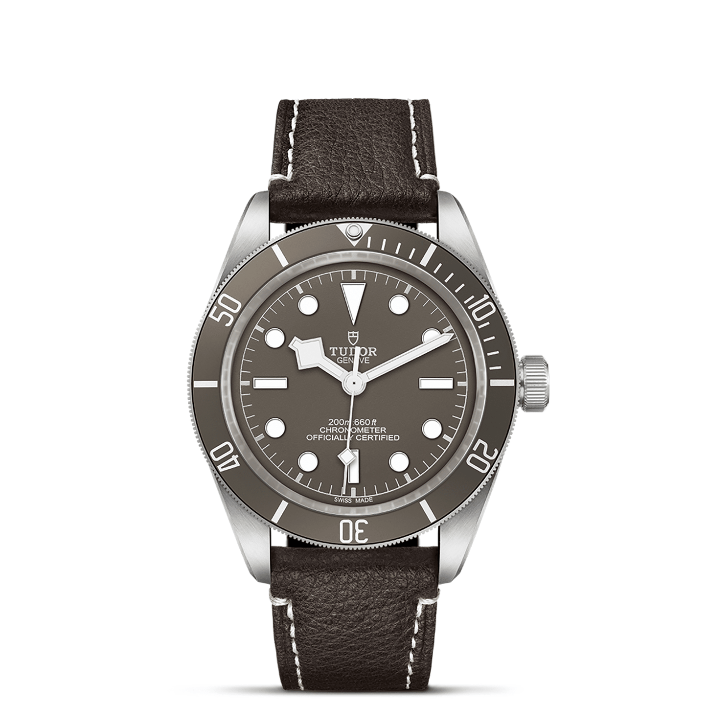 TUDOR BLACK BAY 58 925 M79010SG-0001
