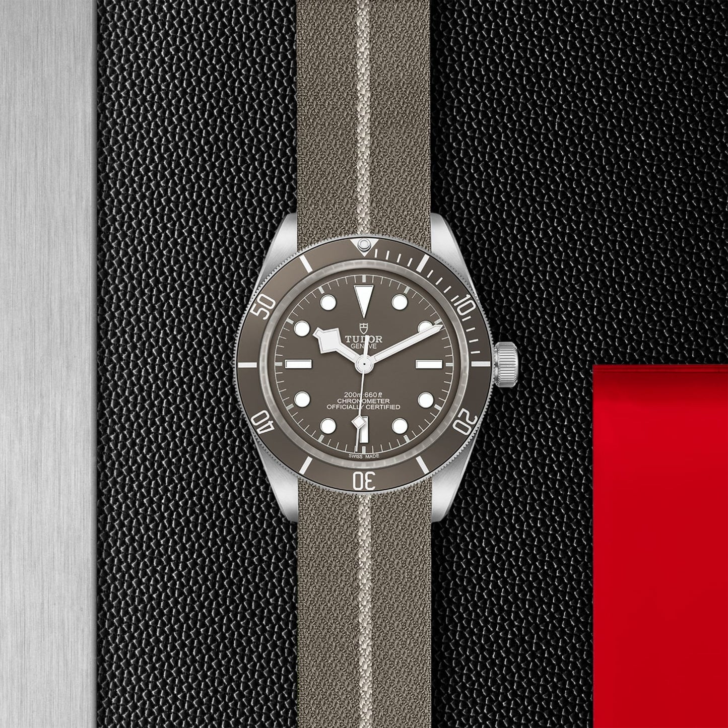 TUDOR BLACK BAY 58 925 M79010SG-0002
