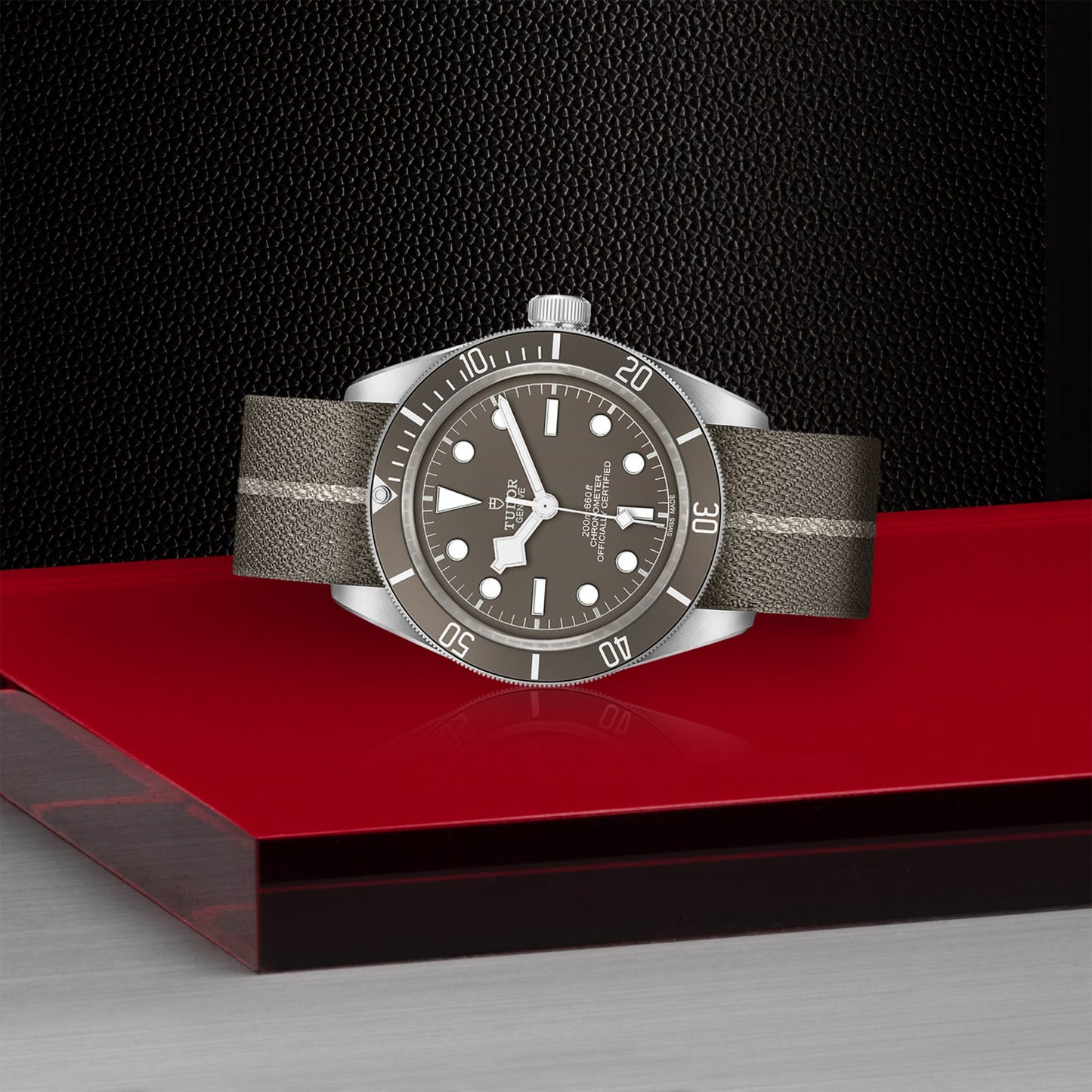 TUDOR BLACK BAY 58 925 M79010SG-0002