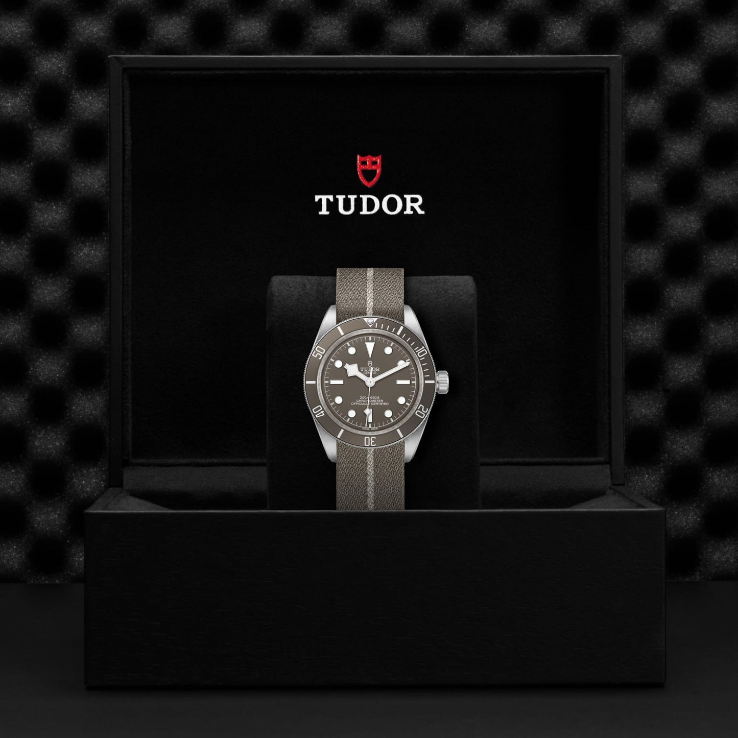 TUDOR BLACK BAY 58 925 M79010SG-0002
