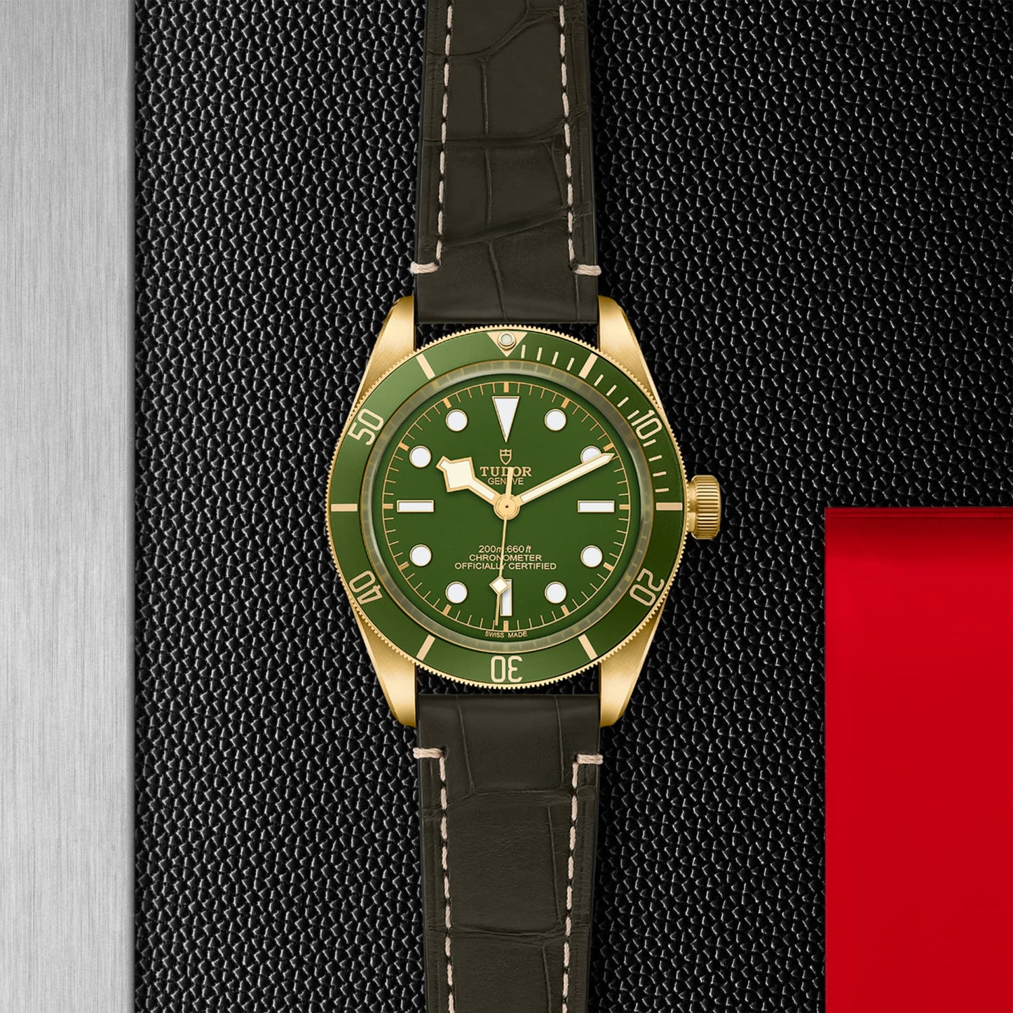 TUDOR BLACK BAY 58 18K M79018V-0001
