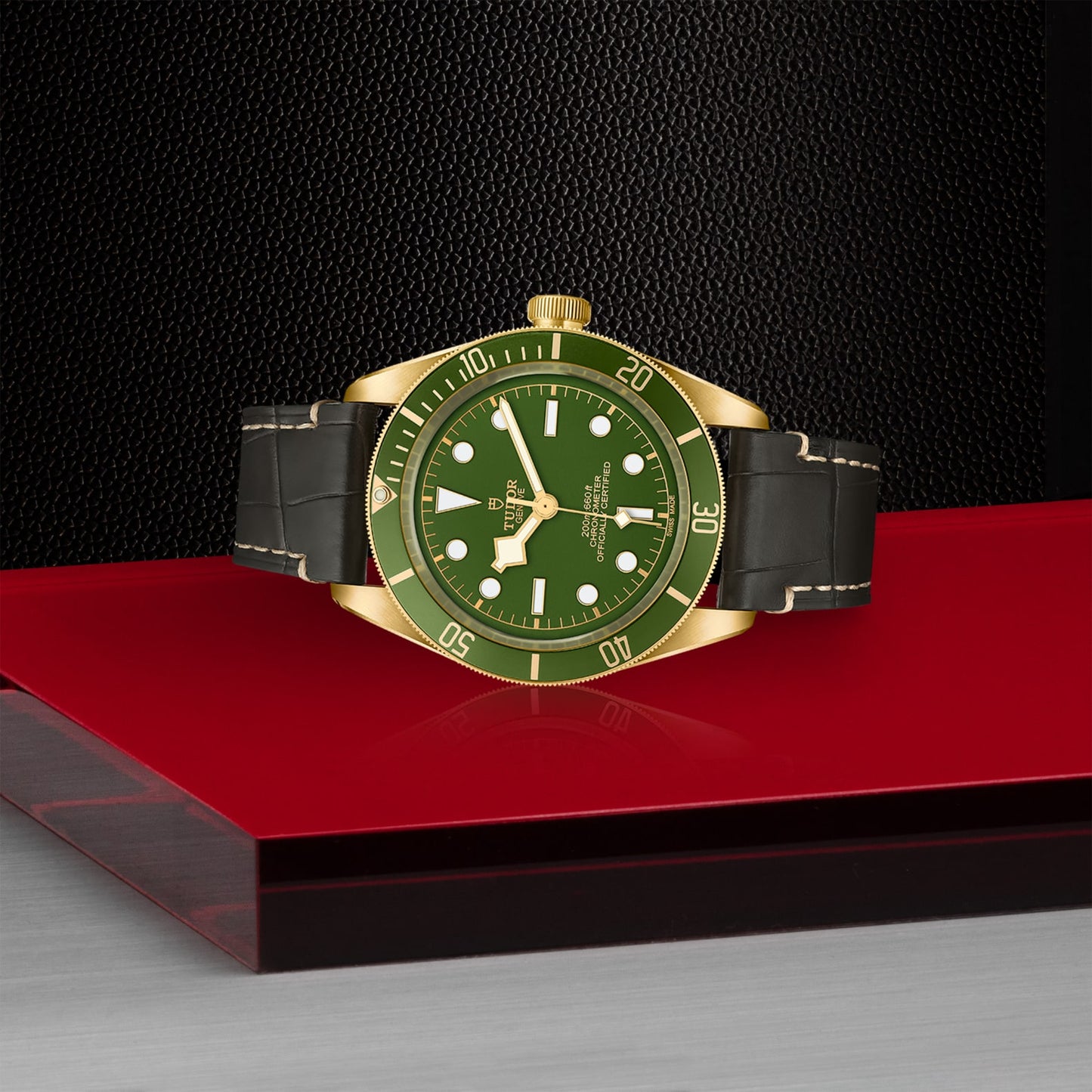 TUDOR BLACK BAY 58 18K M79018V-0001