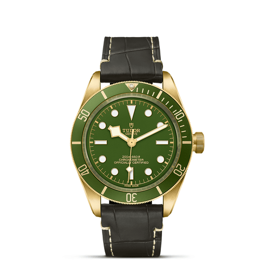 TUDOR BLACK BAY 58 18K M79018V-0001