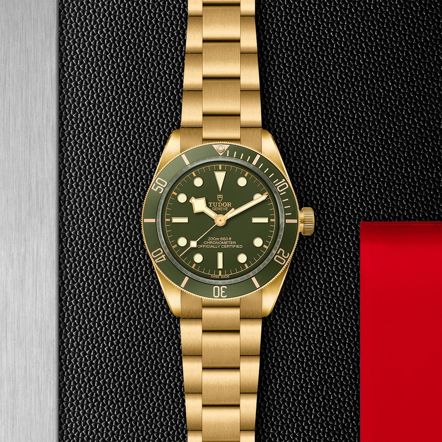 TUDOR BLACK BAY 18K M79018V-0006