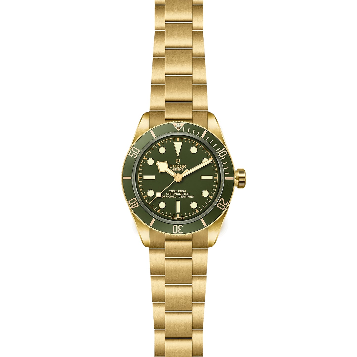 TUDOR BLACK BAY 18K M79018V-0006