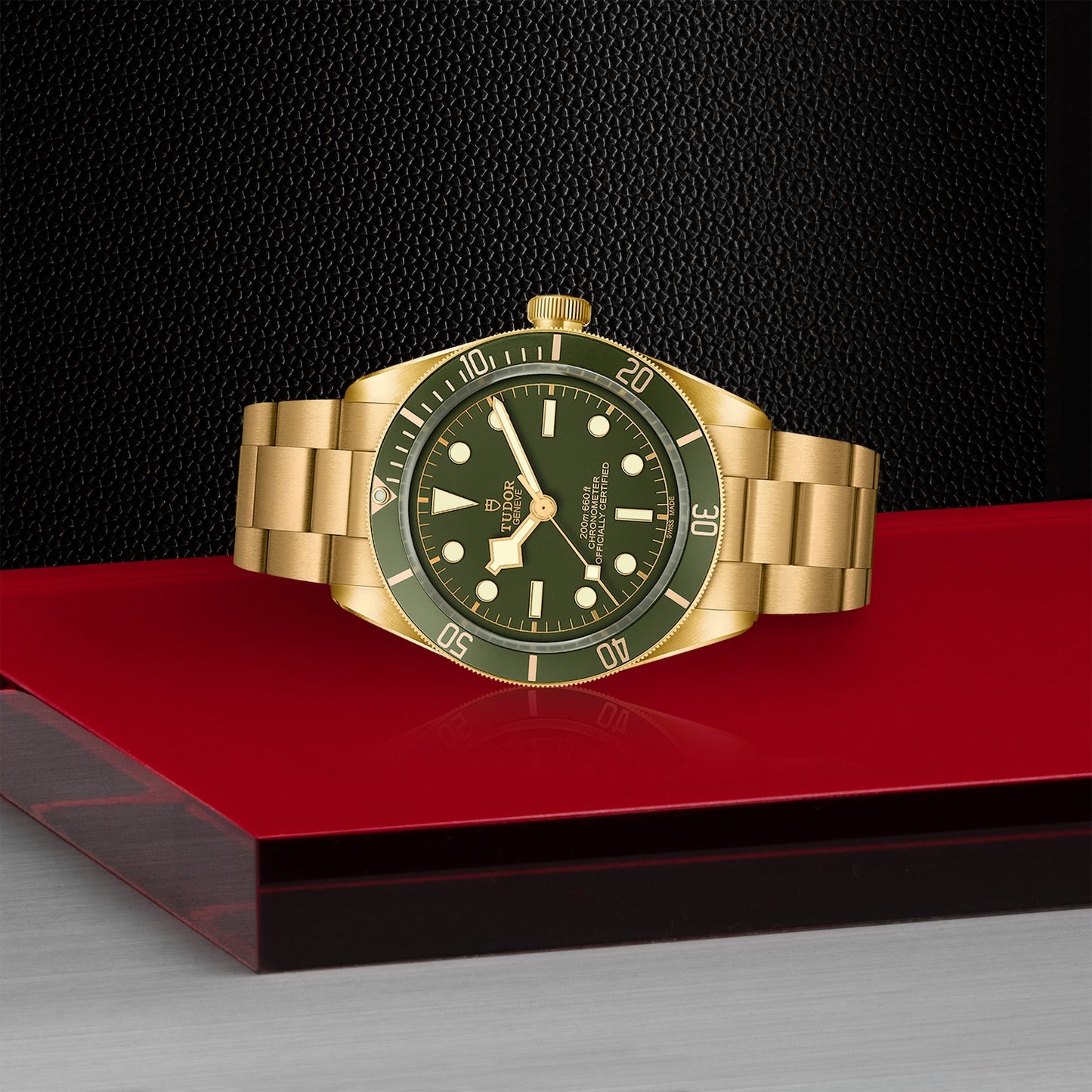 TUDOR BLACK BAY 18K M79018V-0006