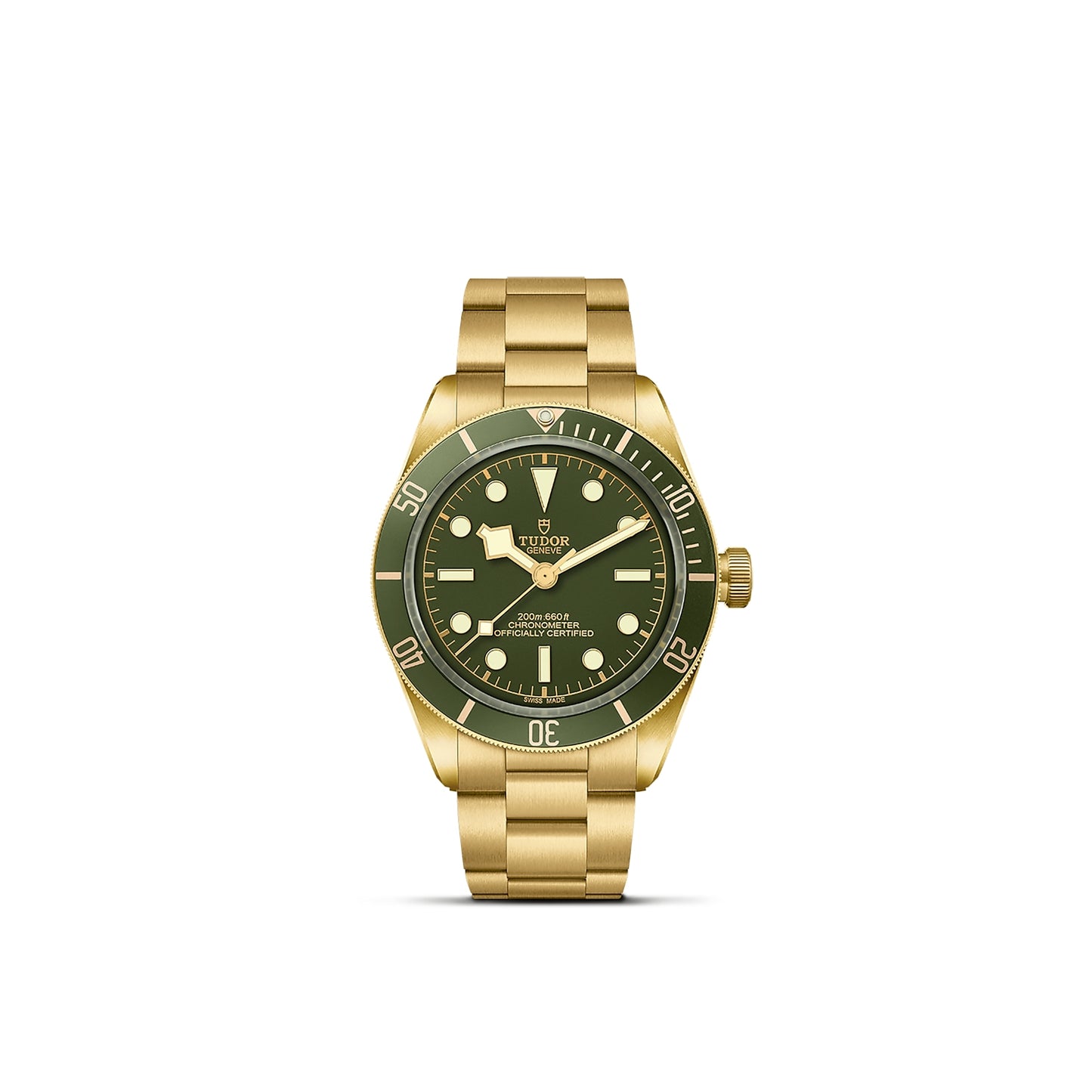 TUDOR BLACK BAY 18K M79018V-0006