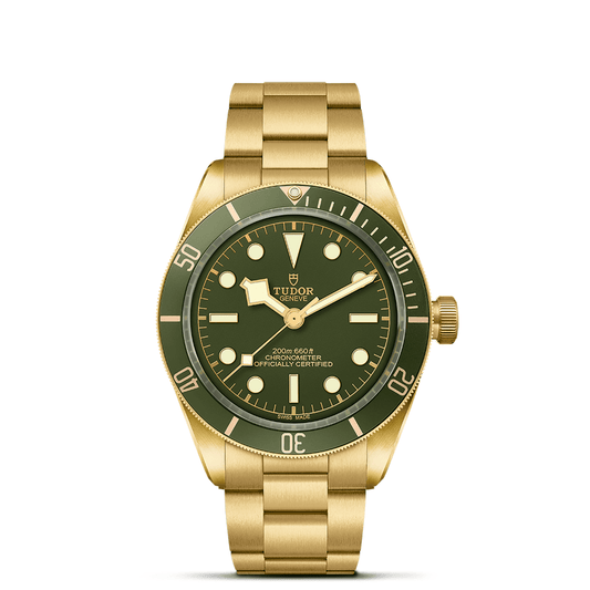 TUDOR BLACK BAY 18K M79018V-0006
