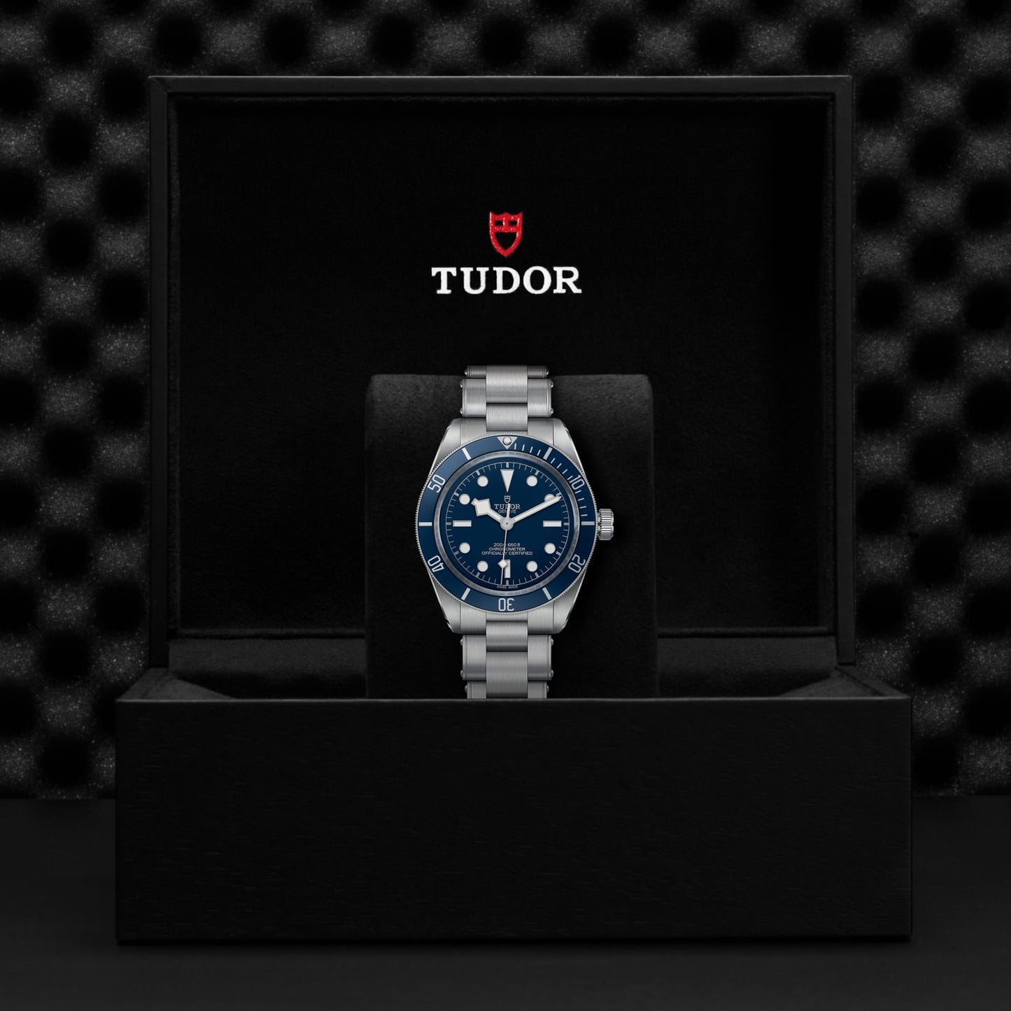 TUDOR BLACK BAY 58 M79030B-0001
