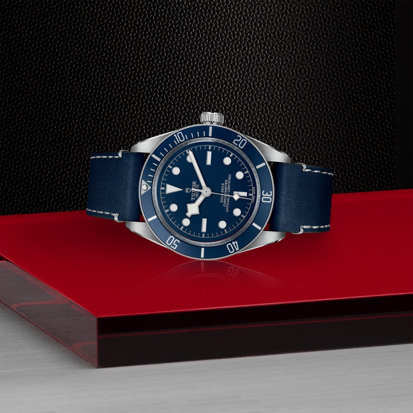 TUDOR BLACK BAY 58 M79030B-0002
