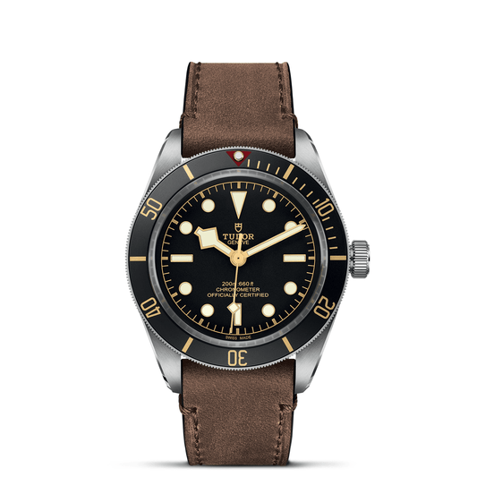 TUDOR BLACK BAY 58 M79030N-0002