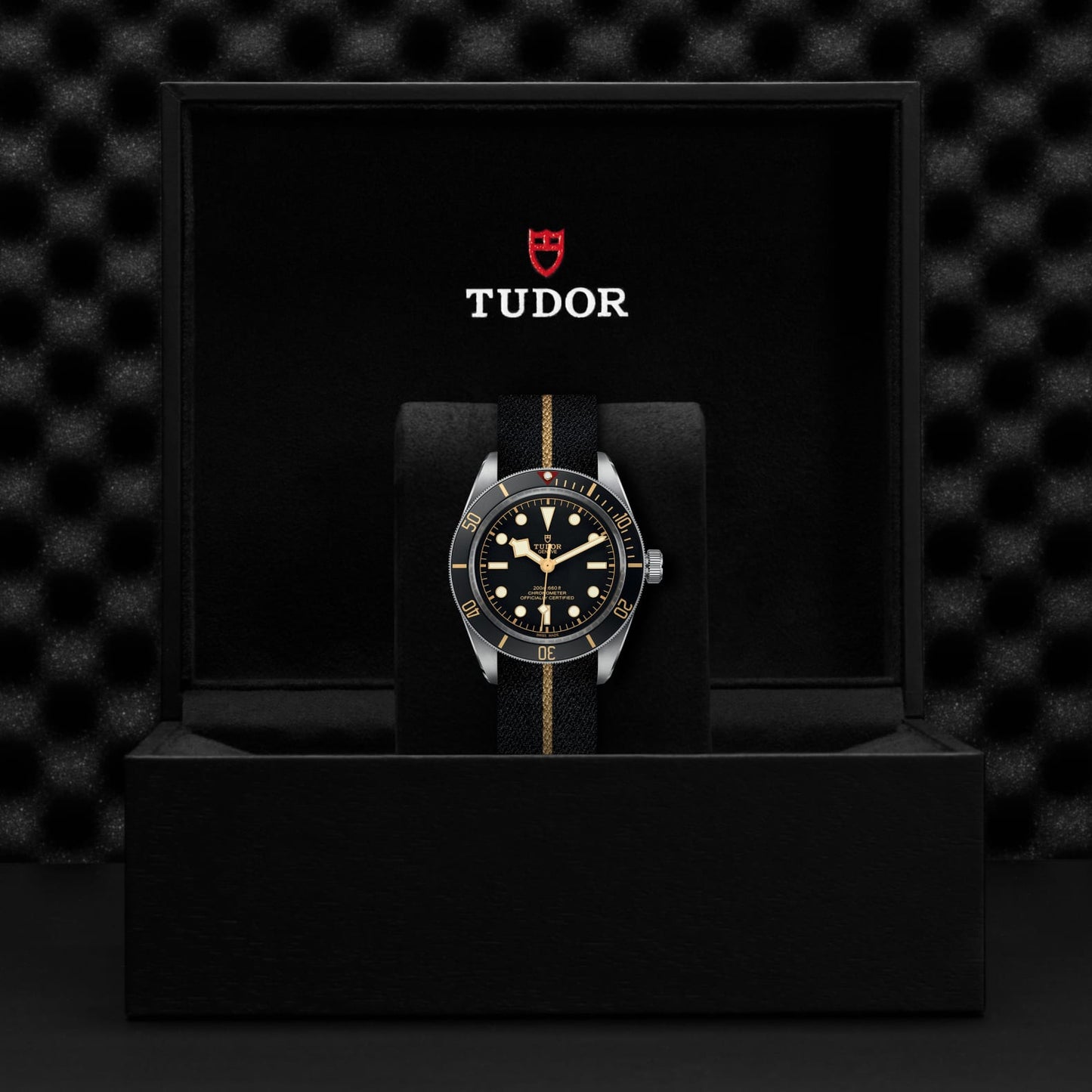 TUDOR BLACK BAY 58 M79030N-0003